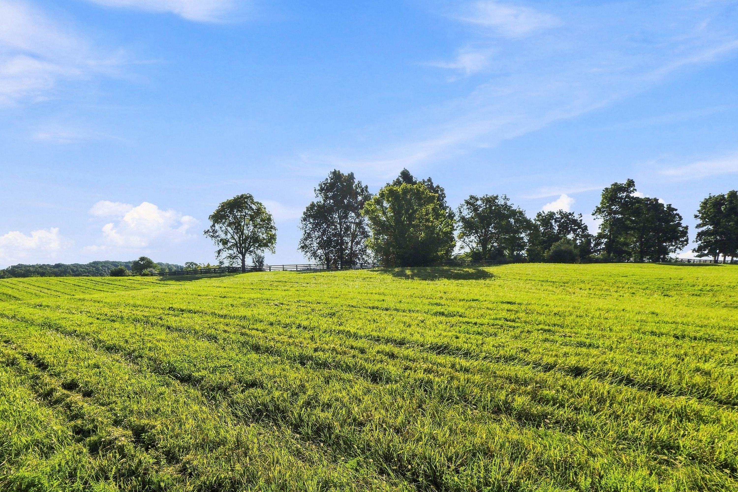  Tract 1 Ballard School Road, La Grange, KY 40031 - 物件實景
