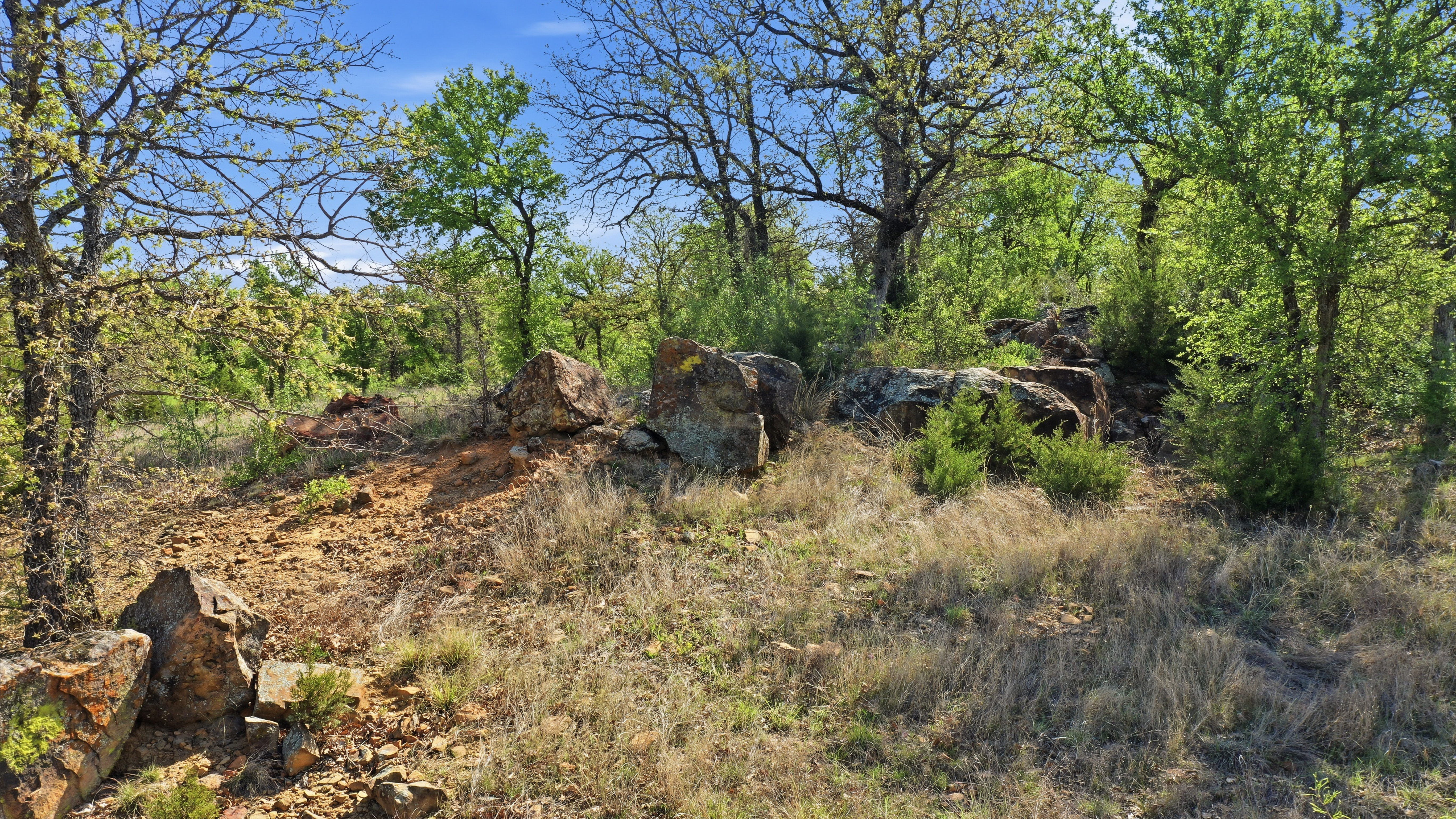  Space for Barns, Workshops, and Big Texas Dreams - 物件實景