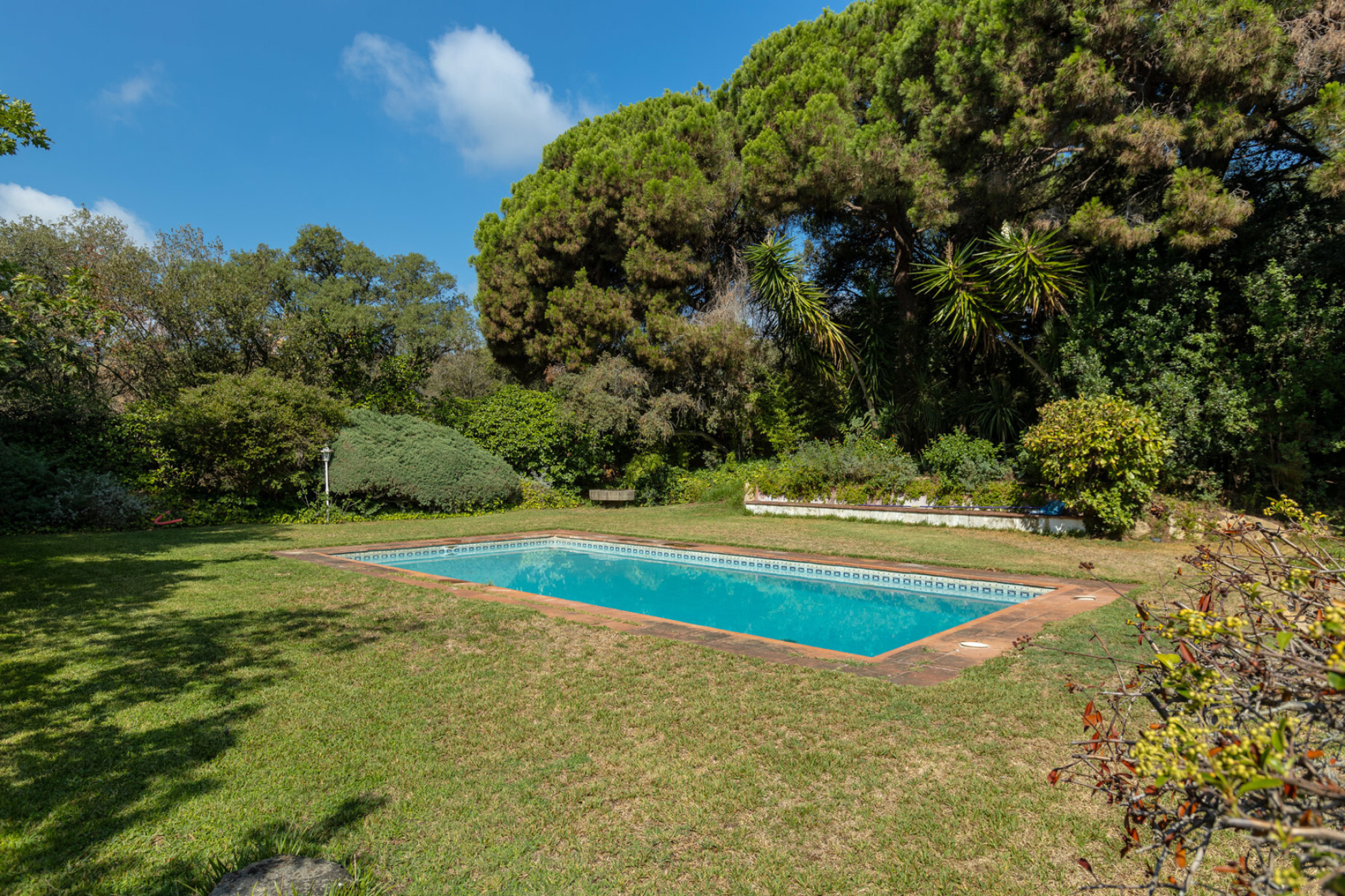  House with large plot and sea views in Llavaneres - Costa norte BCN - 物件實景