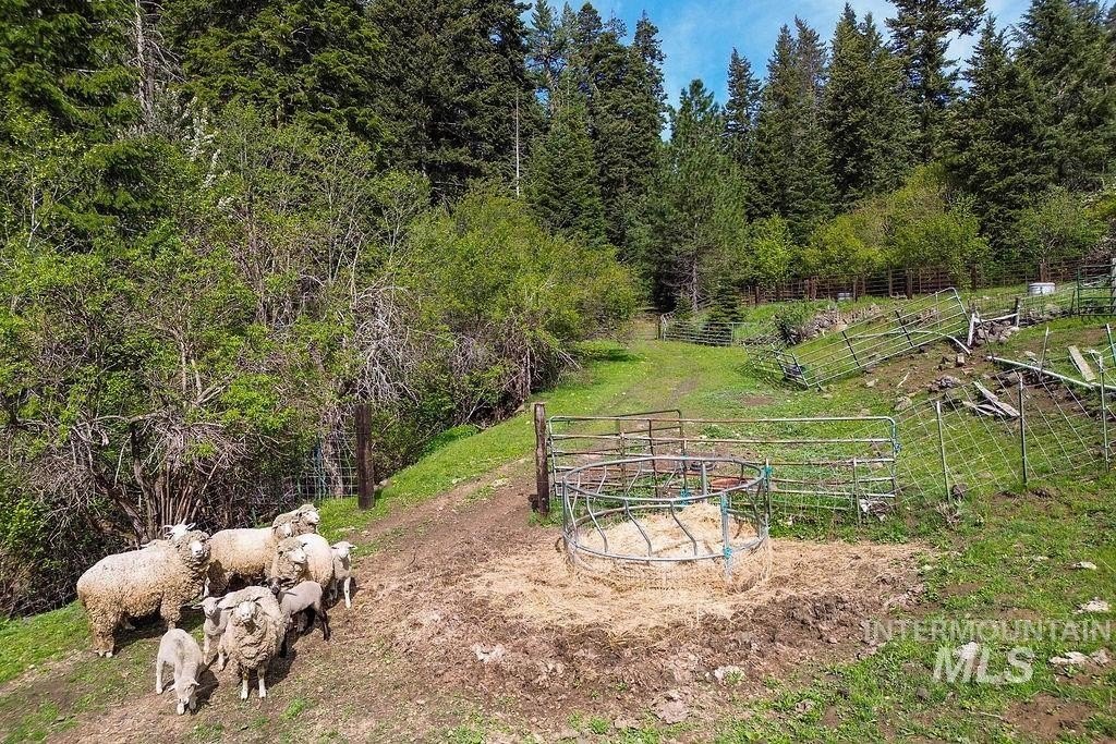 Riggins, Idaho, 83549, United States, 2 Bedrooms Bedrooms, ,1 BathroomBathrooms,Residential,For Sale,1826044