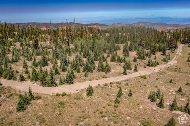 Brian Head, Utah, 84719, United States, ,Residential,For Sale,1915846