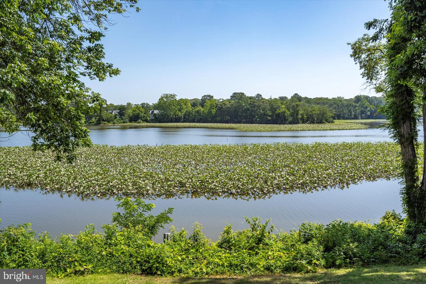 Salisbury, Maryland, 21801, United States, 4 Bedrooms Bedrooms, ,4 BathroomsBathrooms,Residential,For Sale,1874364