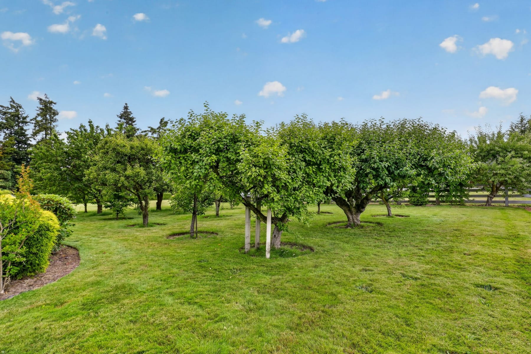  55 NW 173RD AVE Beaverton, OR 97006 - 物件實景