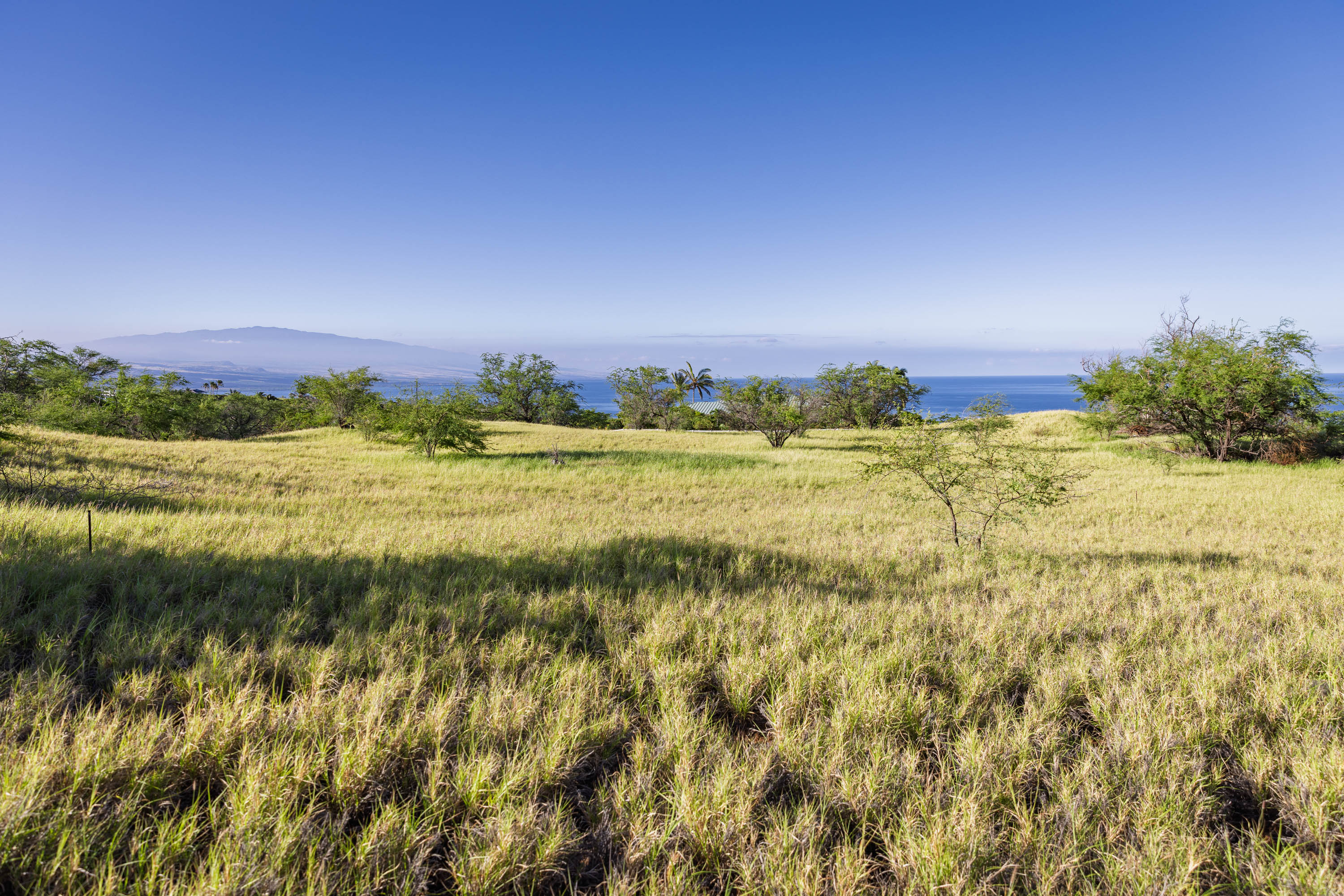  59-670 Kaala Road, Kamuela, HI, 96743 - 物件實景