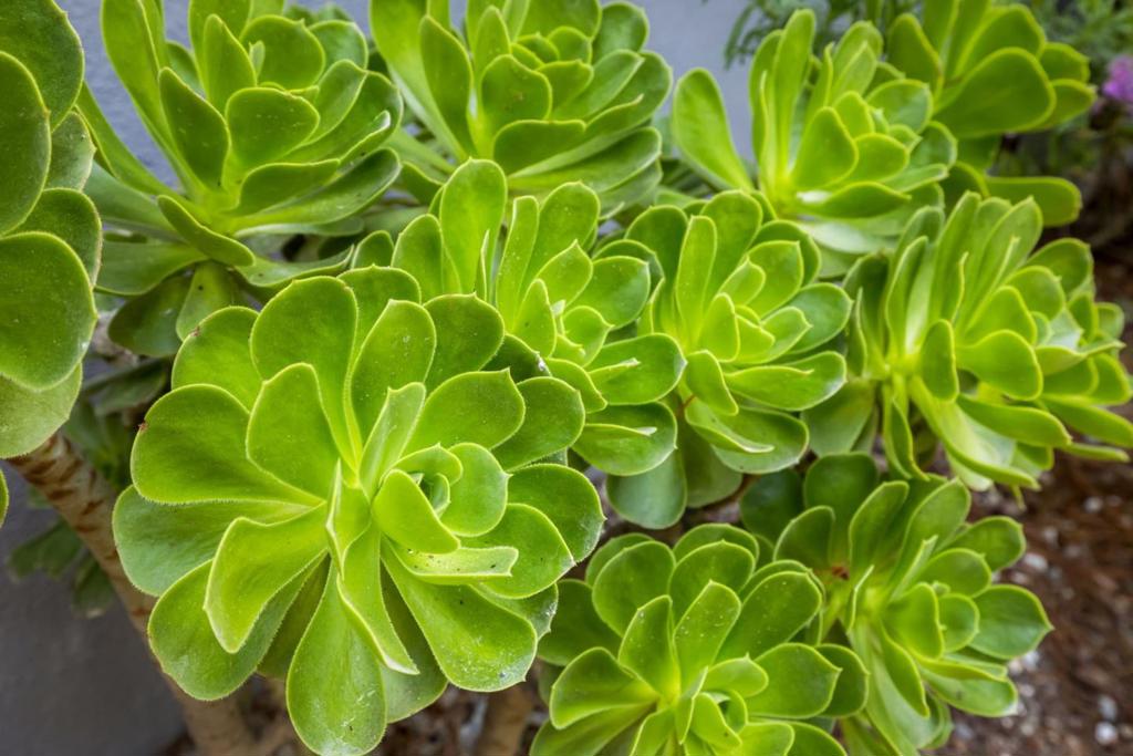 Monterey, California, 93940, United States, 3 Bedrooms Bedrooms, ,2 BathroomsBathrooms,Residential,For Sale,1975715