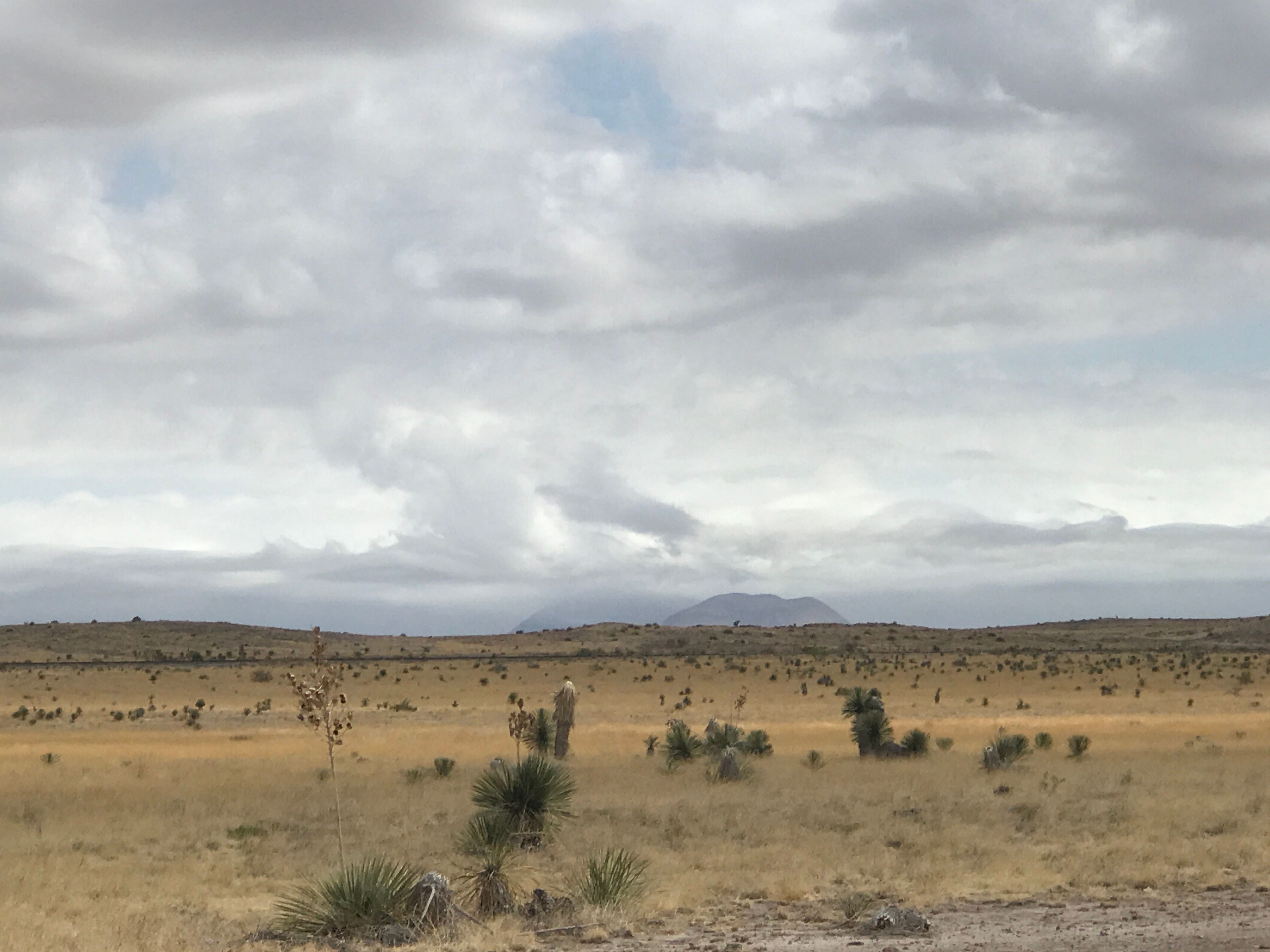  18311 Hwy 90, Marfa, TX 79843 - 物件實景