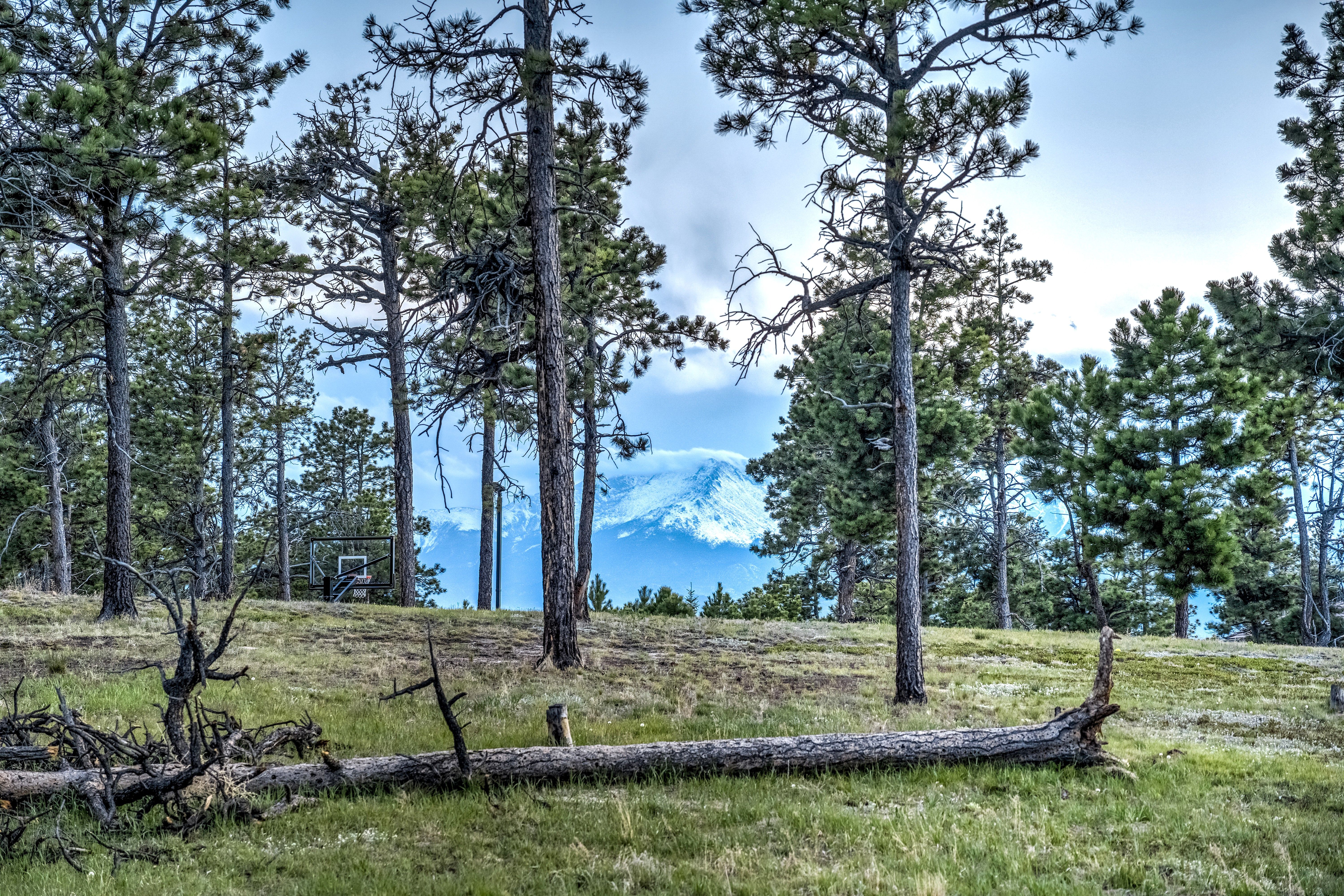 Surrounded by Open Skies and Whispering Pines on 2.5 Acres in Cathedral Pines - 物件實景