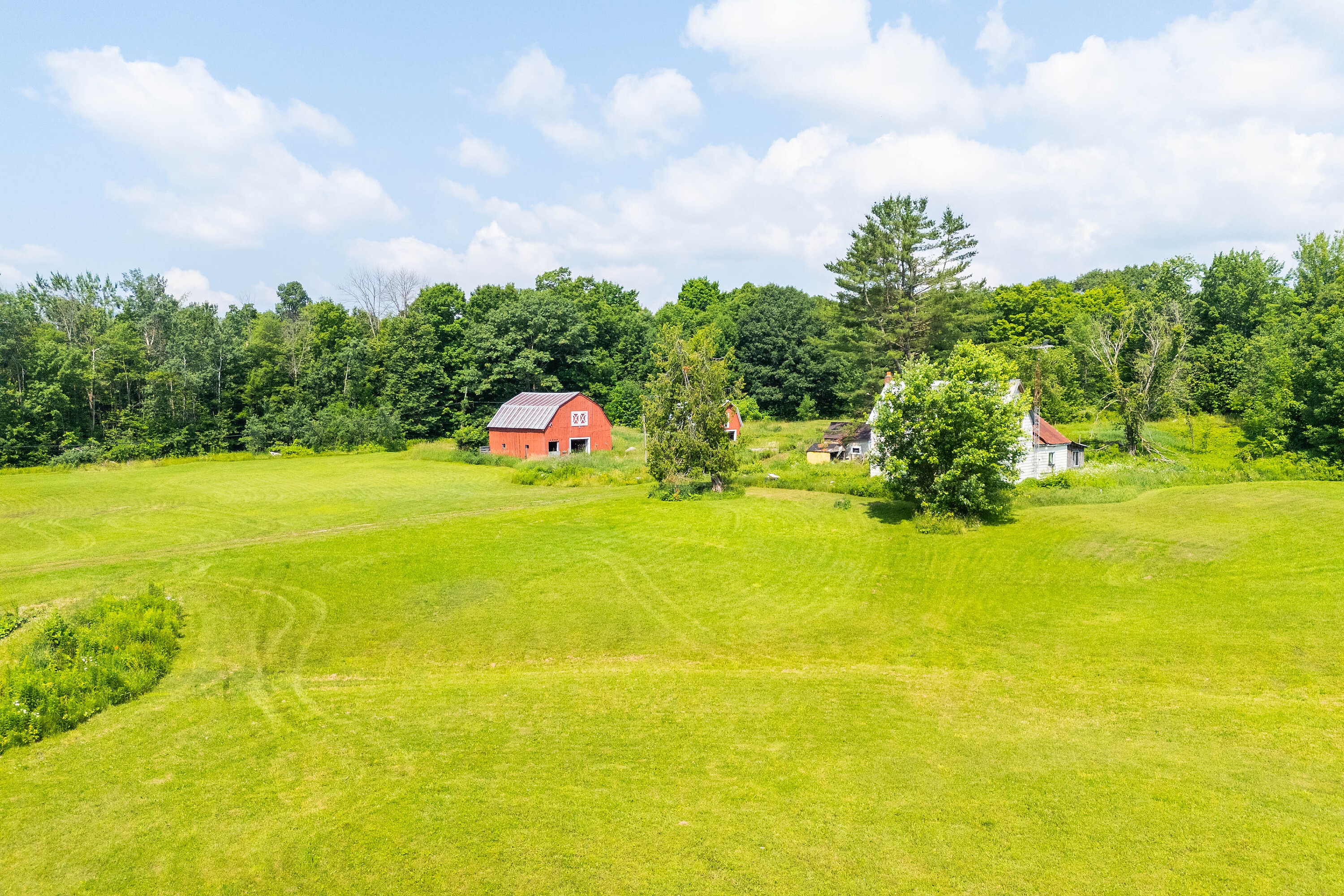  Dream Farmstead on 47 Acres - 物件實景