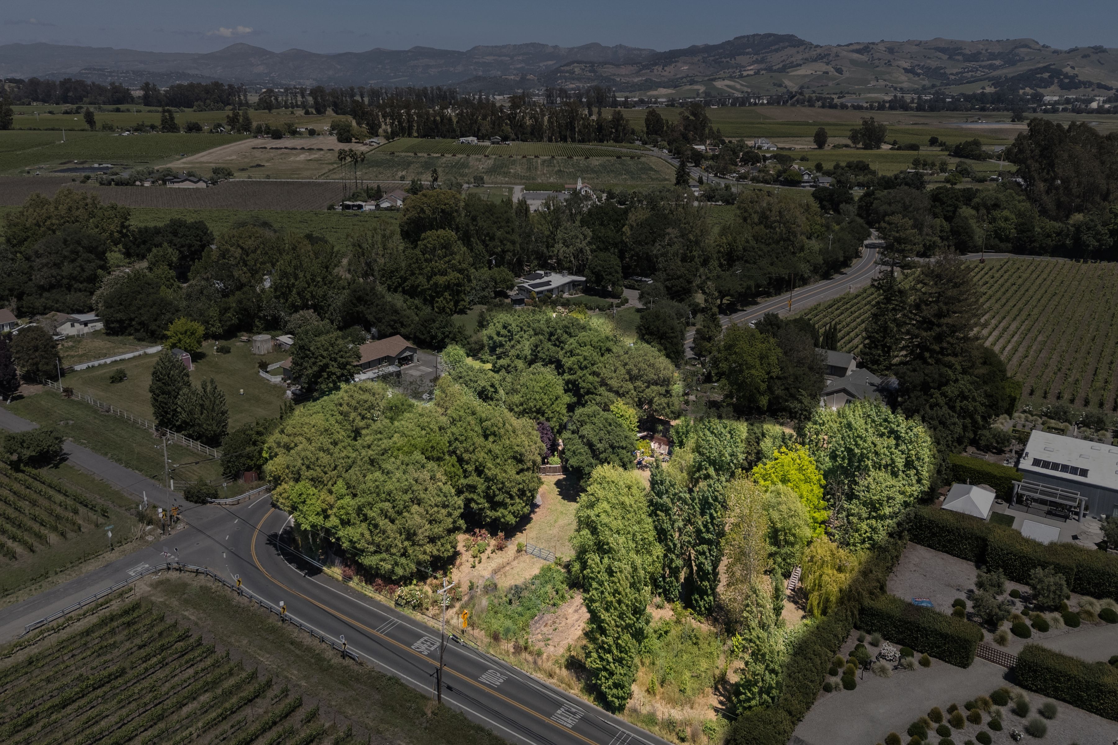 1081 Las Amigas Road, Napa - 物件實景