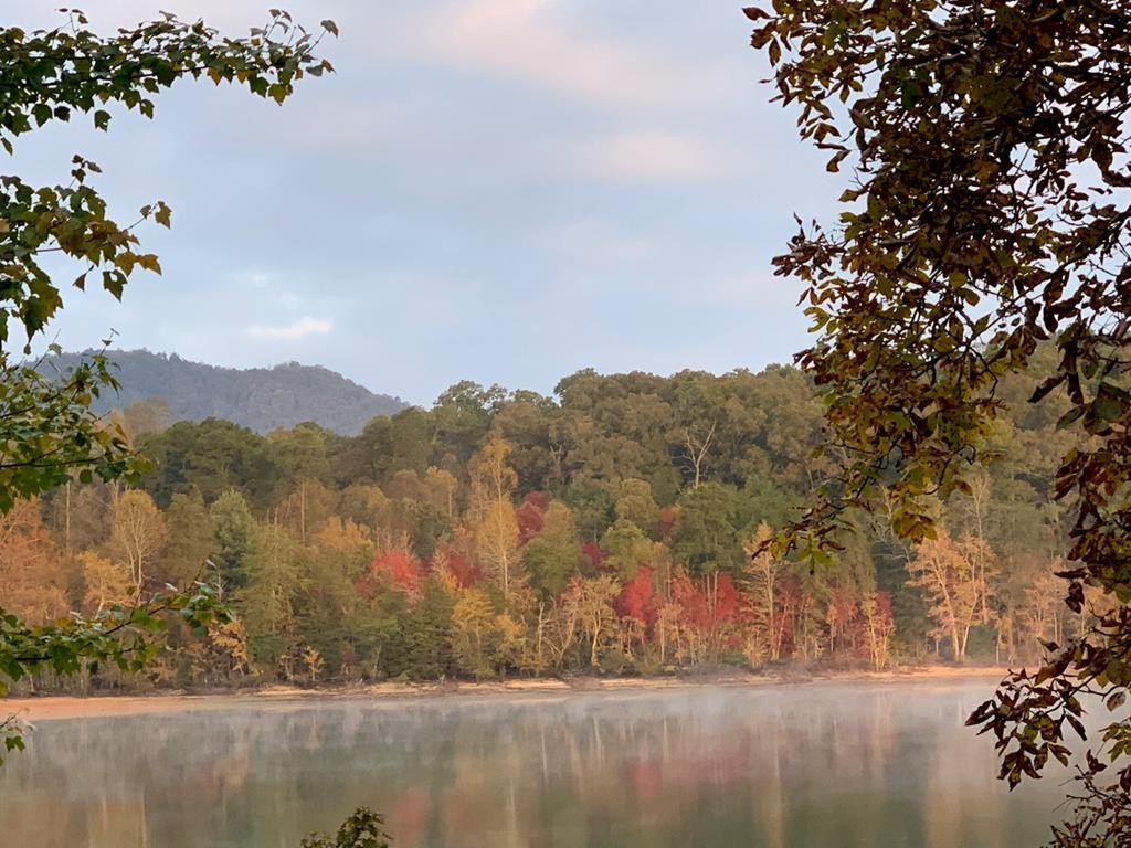 Young Harris, Georgia, 30582, United States, 3 Bedrooms Bedrooms, ,4 BathroomsBathrooms,Residential,For Sale,1975492