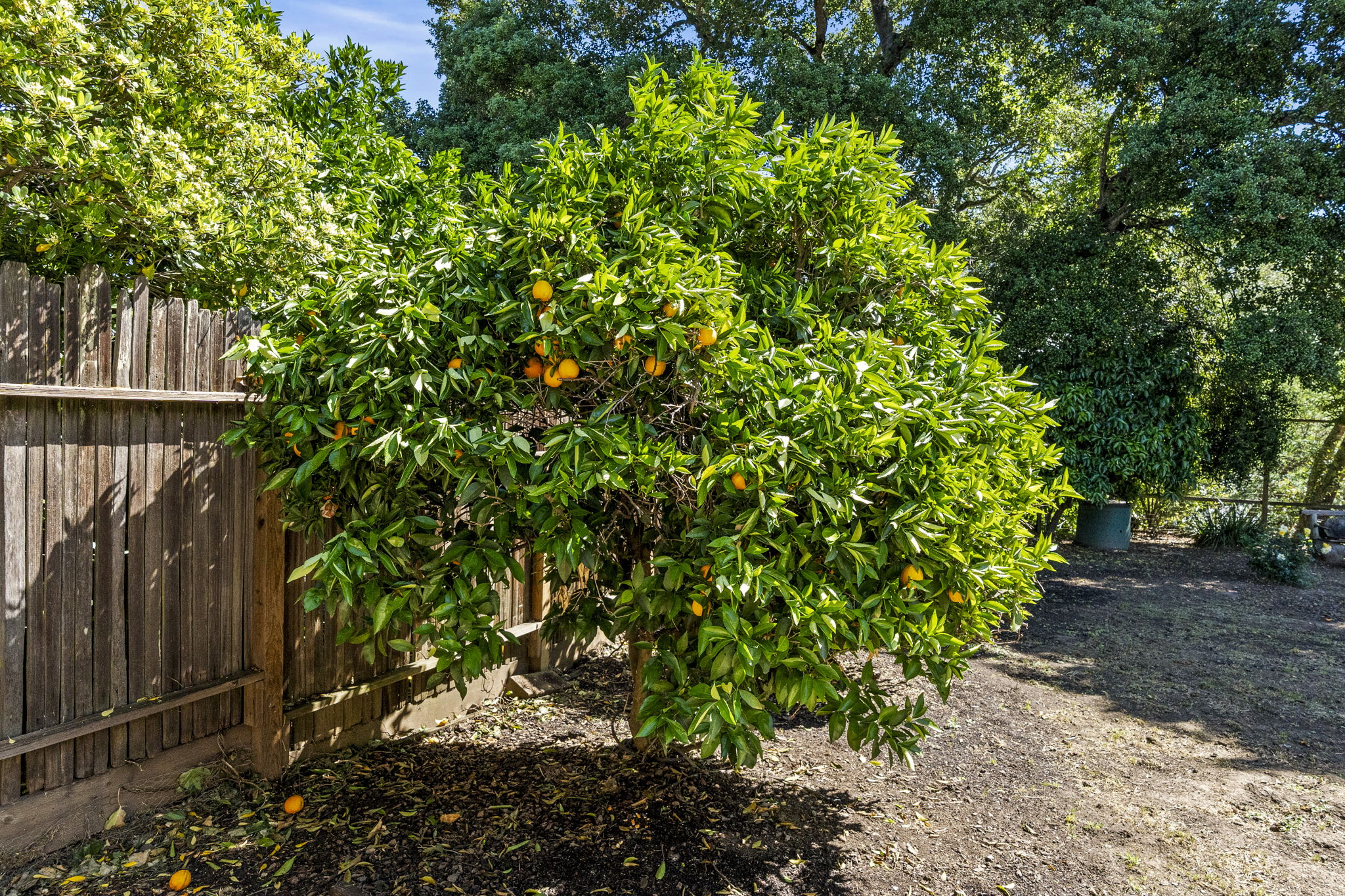  2608 West Pueblo Avenue Napa - 物件實景