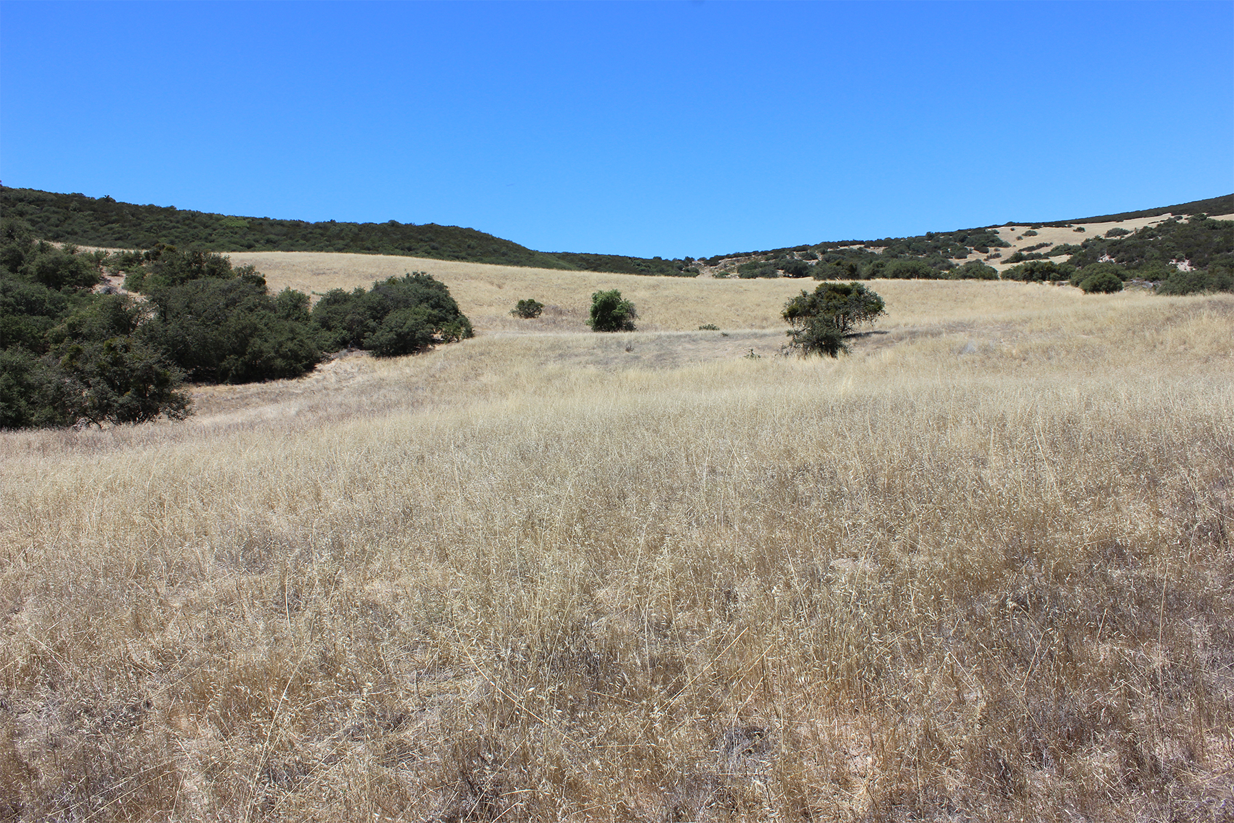  0 East Carmel Valley Road - 物件實景