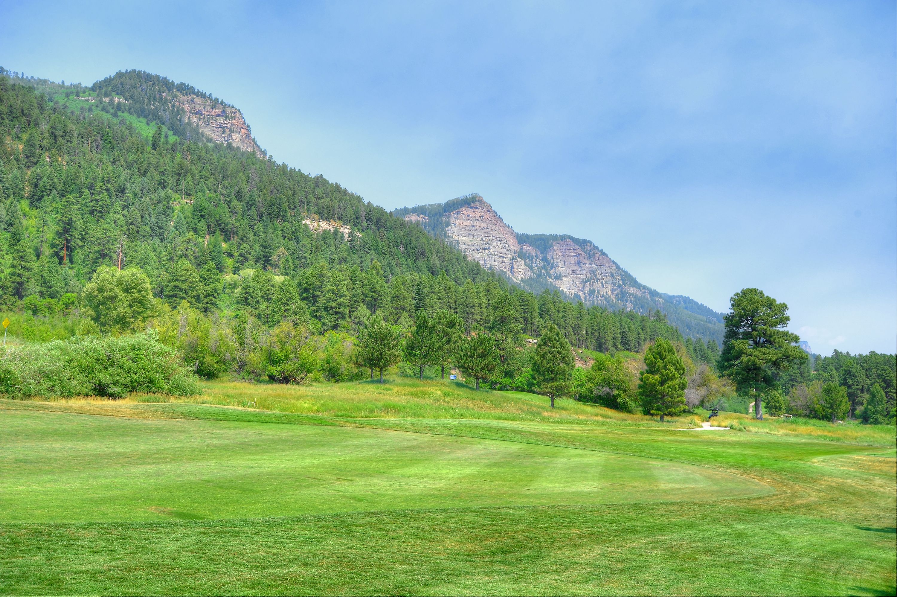  73 S Tamarron Drive #870, Durango, CO 81301 - 物件實景