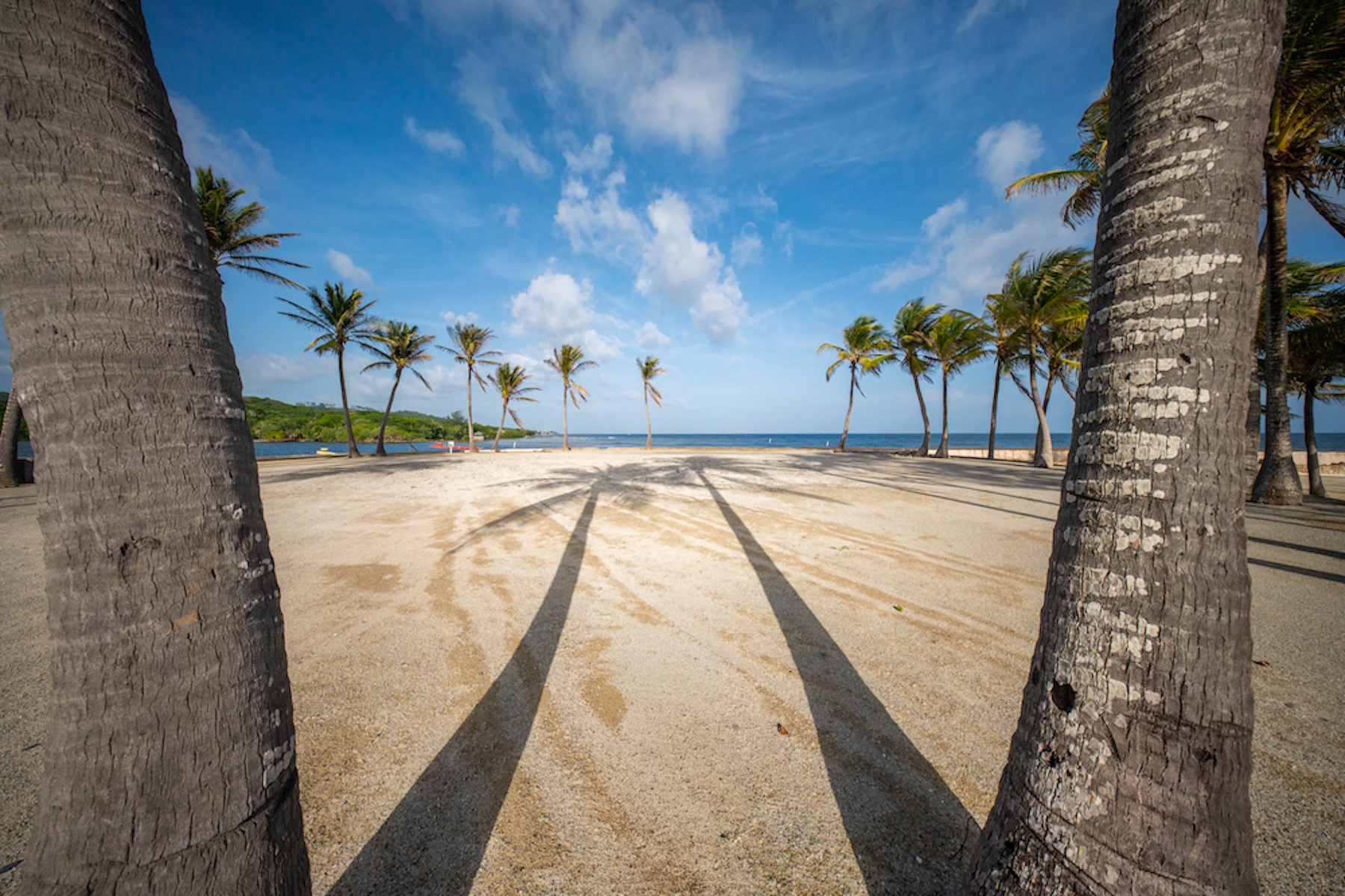  Port in Paradise - Marina Front Villa in Parrot Tree Plantation - 物件實景