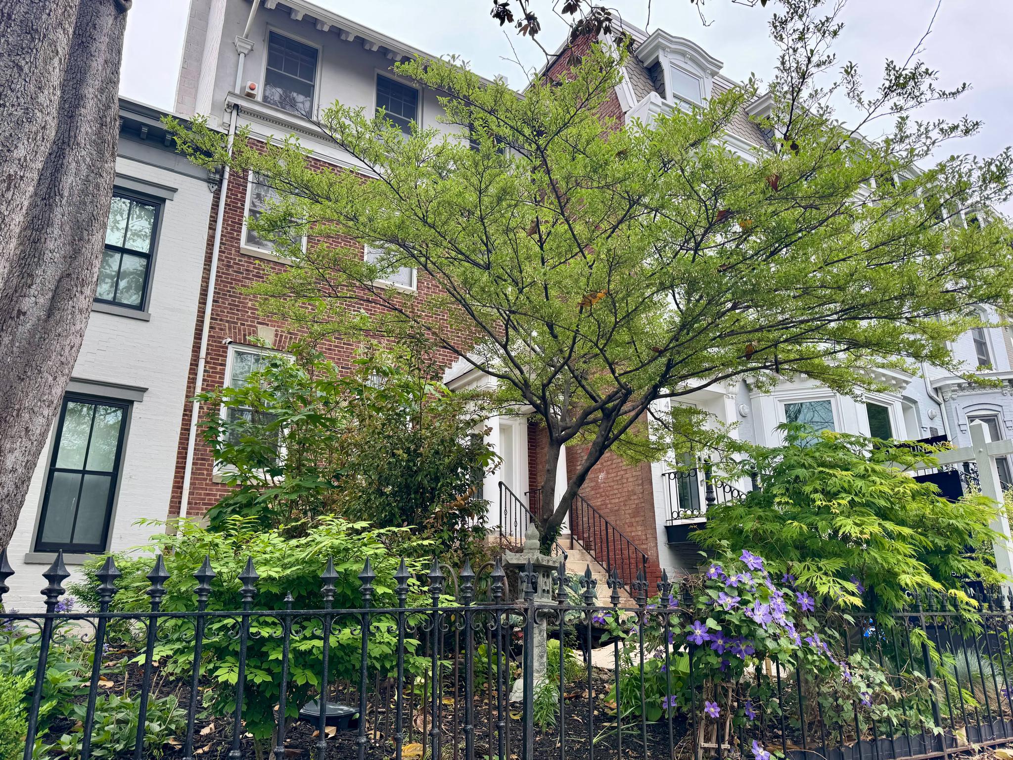  1443 S Street NW, Washington, DC, 20009 - 物件實景