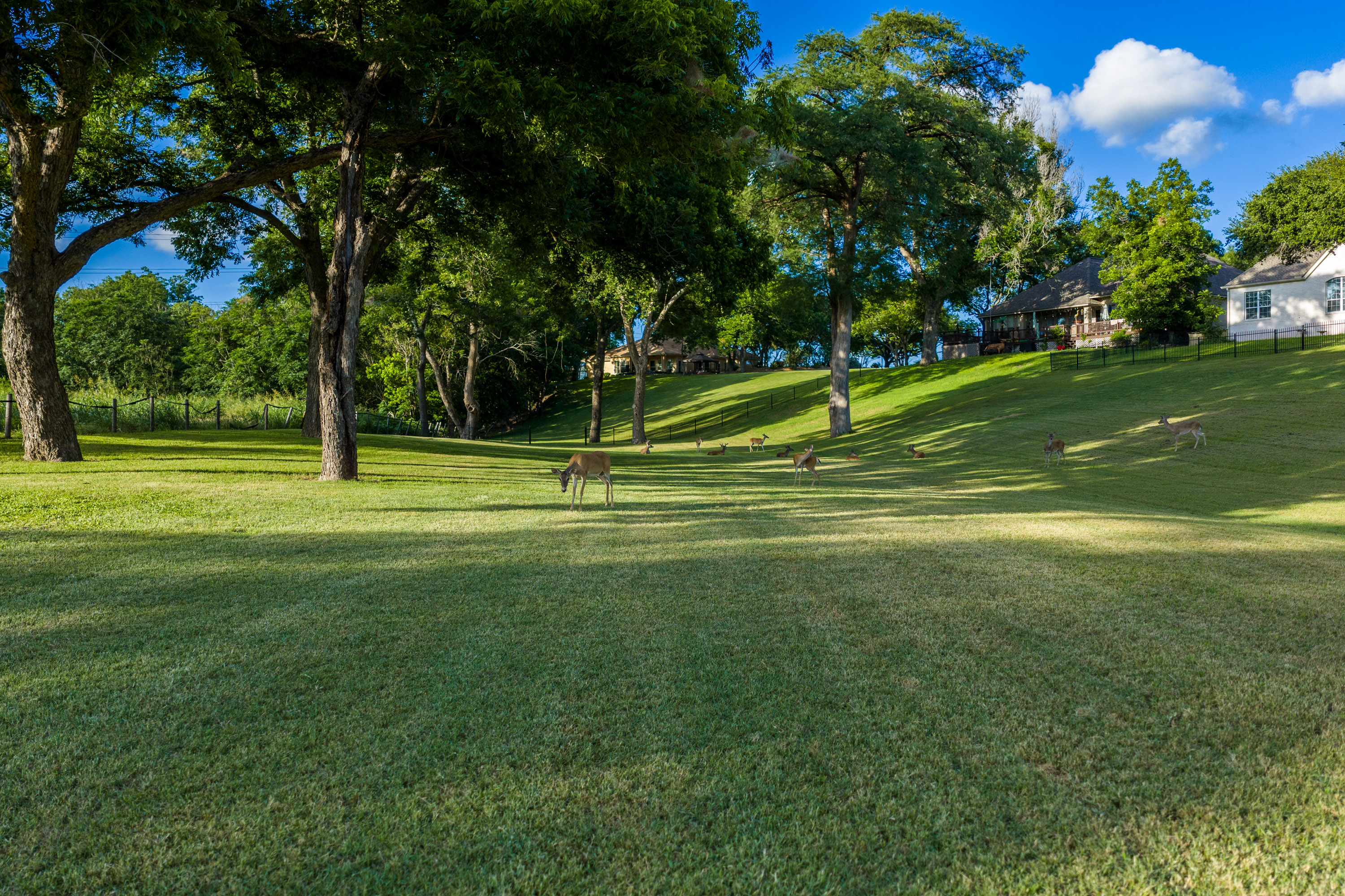  Premier Lake McQueeney Residence - 物件實景