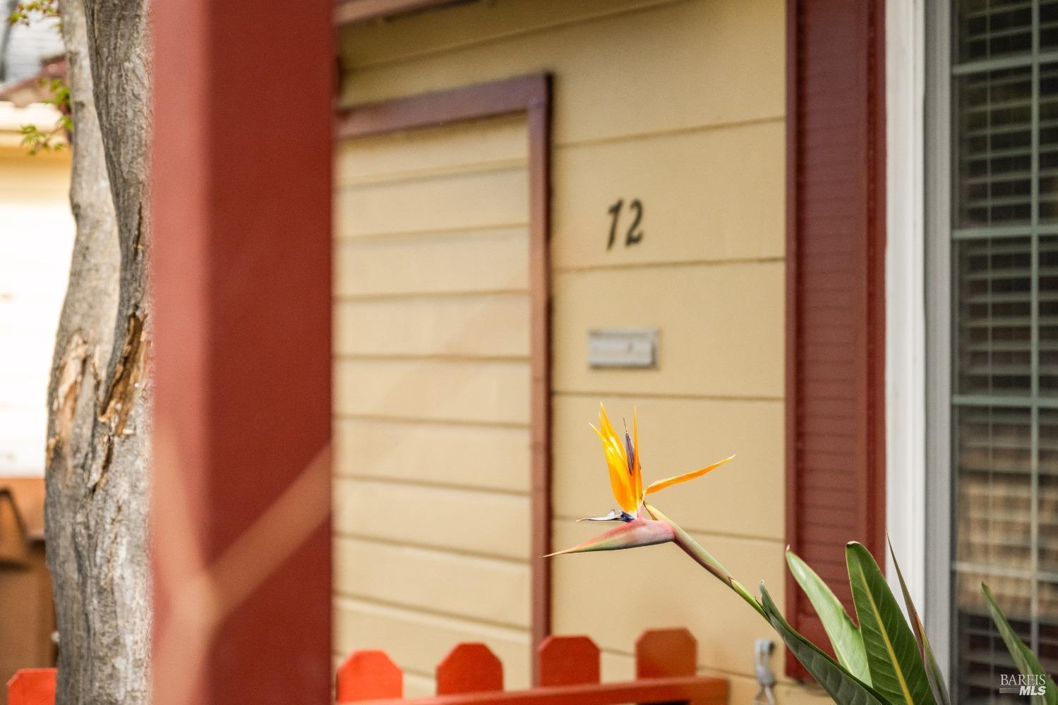 Napa, California, 94558, United States, 2 Bedrooms Bedrooms, ,1 BathroomBathrooms,Residential,For Sale,1947582