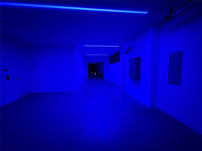 Fort Lauderdale, Florida, 33306, United States, 6 Bedrooms Bedrooms, ,8 BathroomsBathrooms,Residential,For Sale,1958113