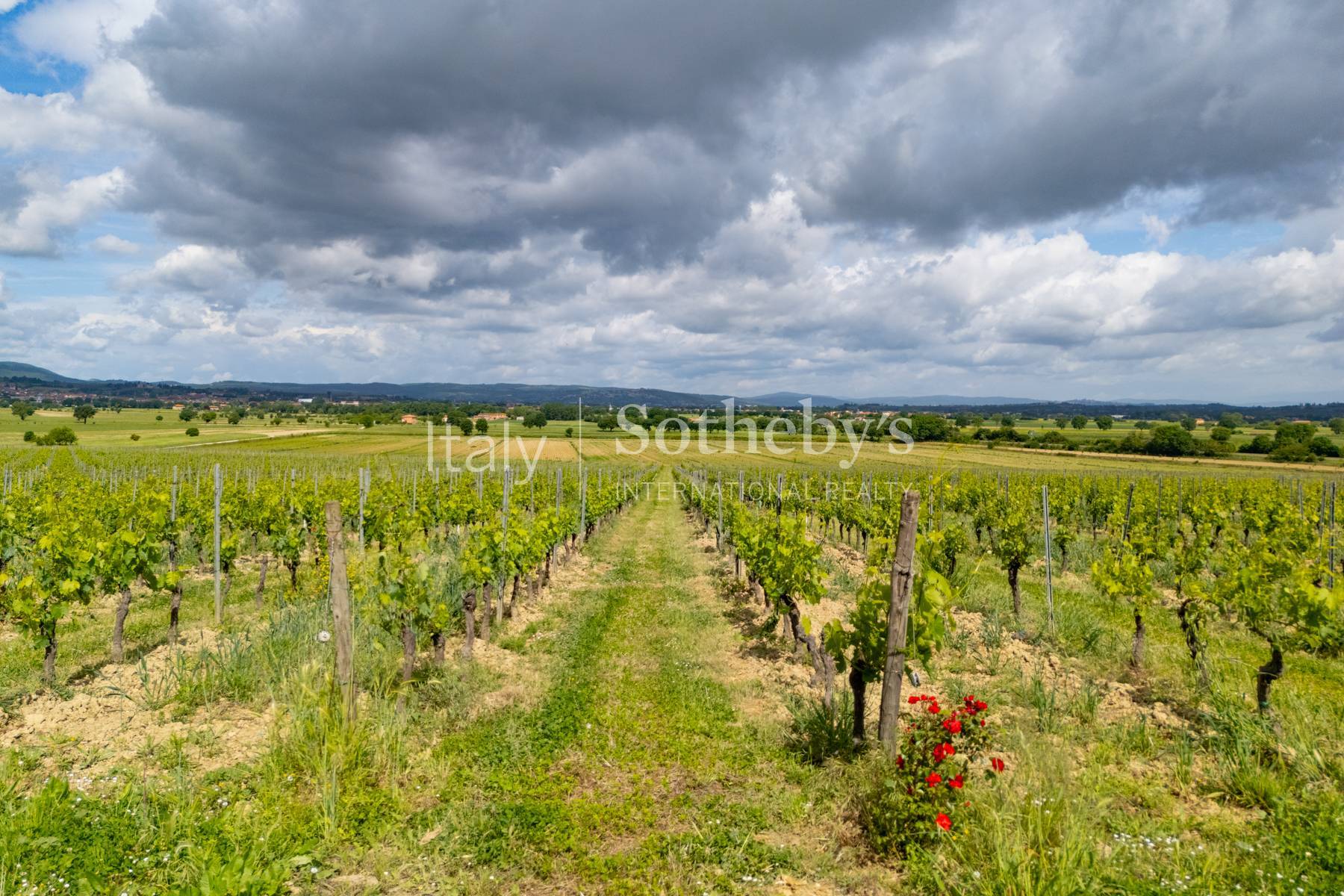  Refined wine estate with agritourism - 物件實景