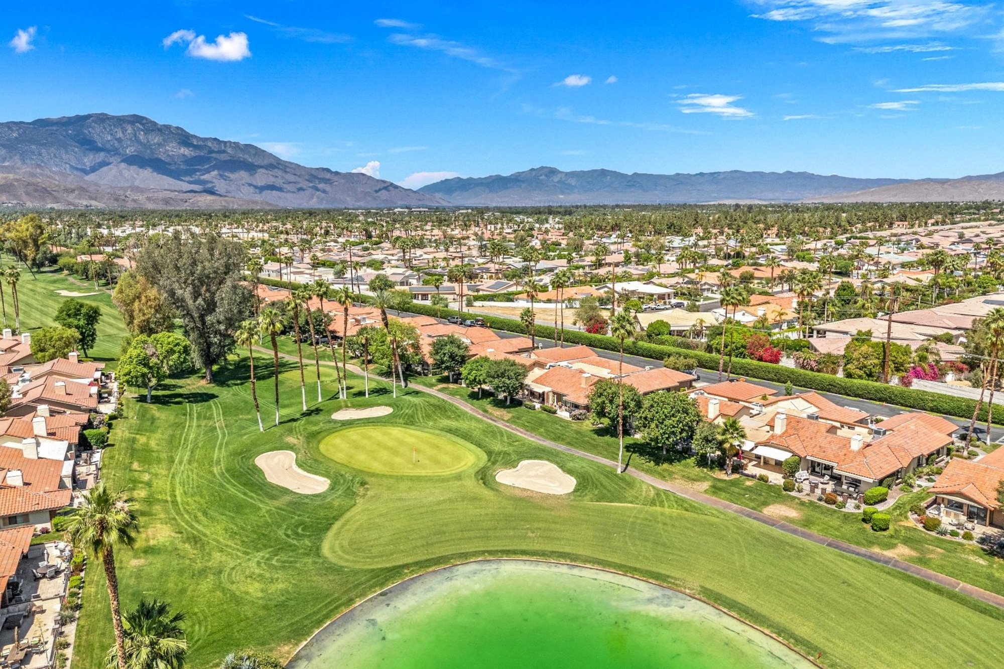  Luxury Remodel with Panoramic Views - 物件實景