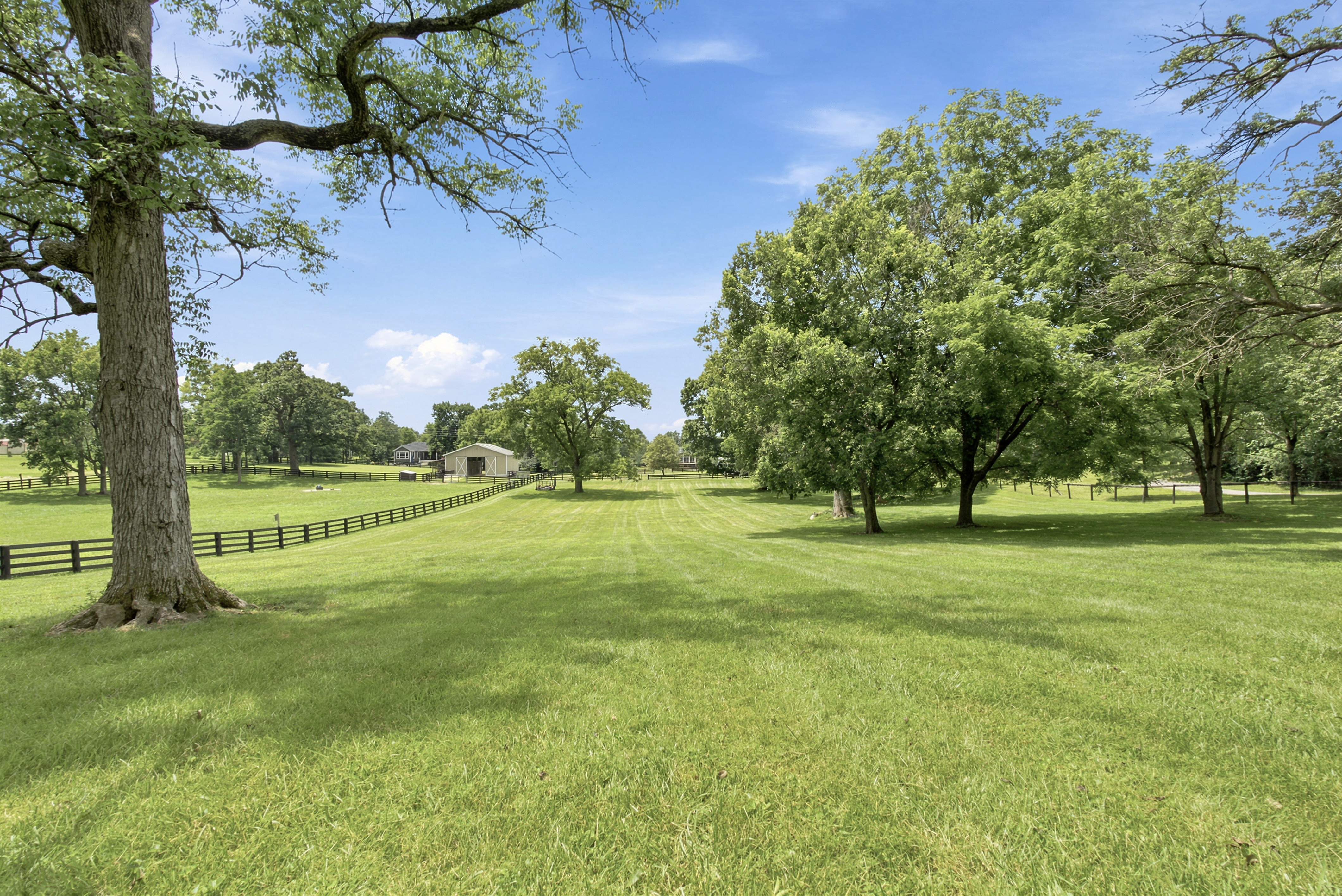  1208 Clear Creek Road - 物件實景