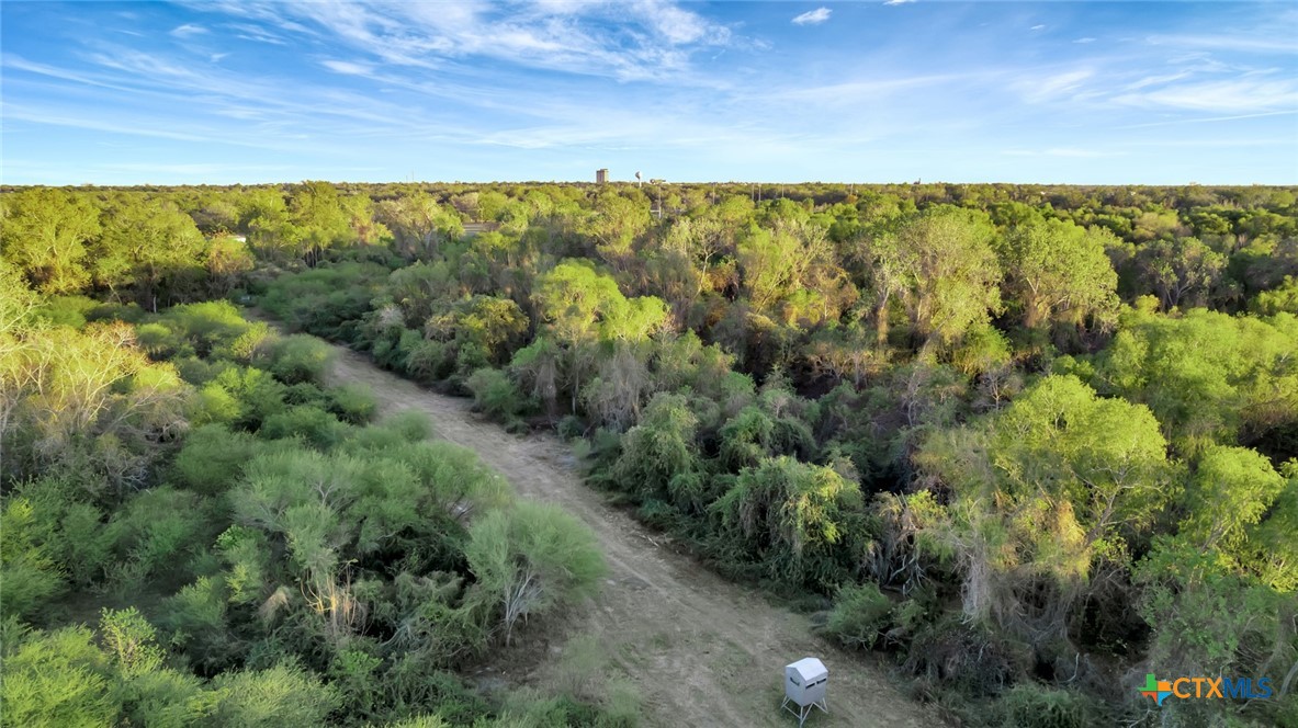 000 Smith Road, Victoria, Texas, 77905, United States, ,Land,For Sale,000 Smith Road,1673338