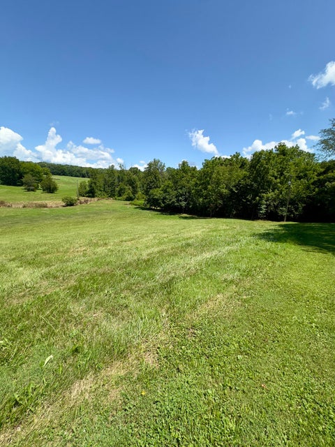 Albany, Kentucky, 42602, United States, 4 Bedrooms Bedrooms, ,2 BathroomsBathrooms,Residential,For Sale,1905722