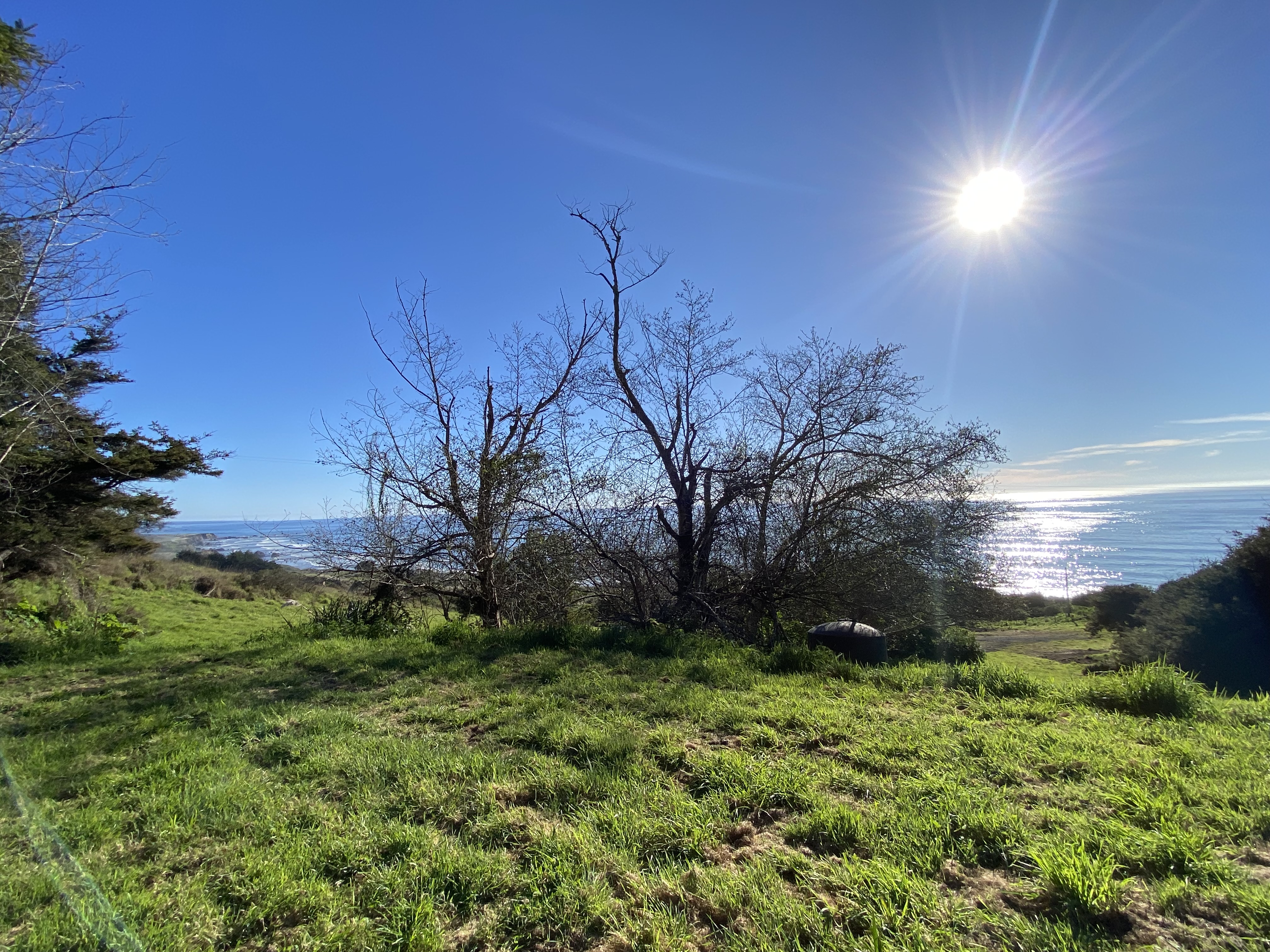  20-Acre Ocean View Parcel - 物件實景