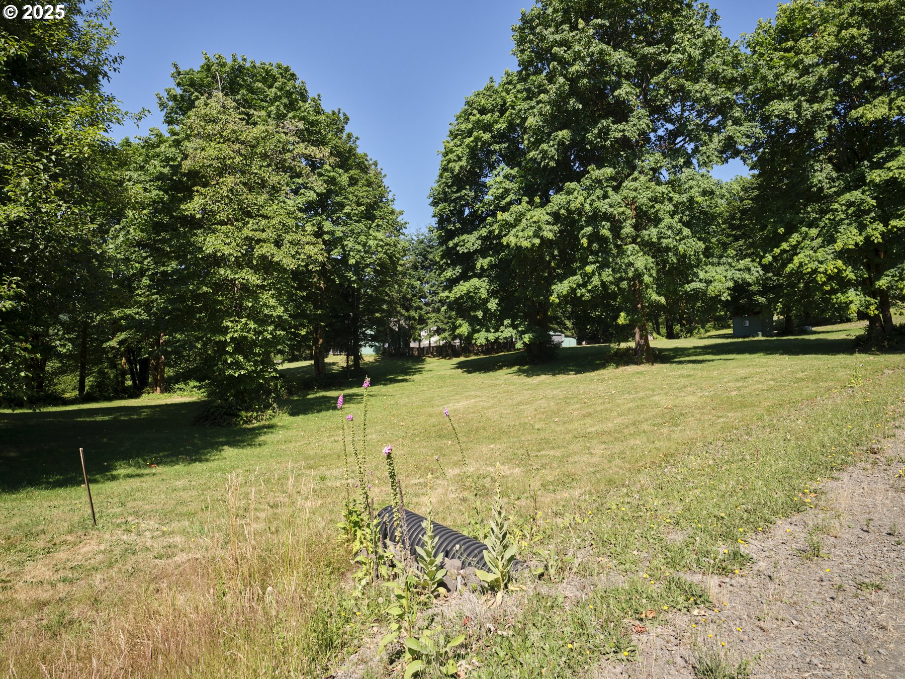 Ariel, Washington, 98603, United States, 3 Bedrooms Bedrooms, ,2 BathroomsBathrooms,Residential,For Sale,1891674