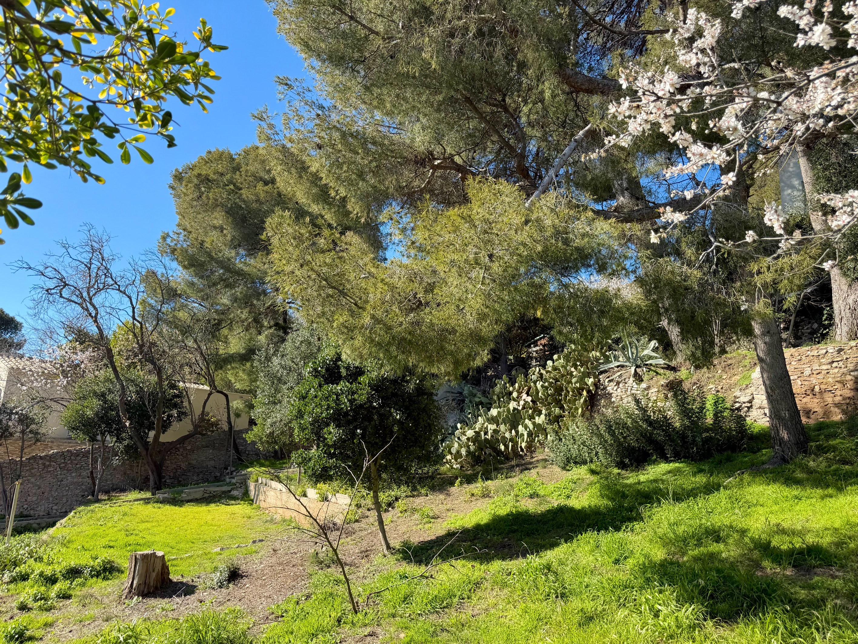  Saint-Clair, Panoramic View of the Mediterranean - 物件實景