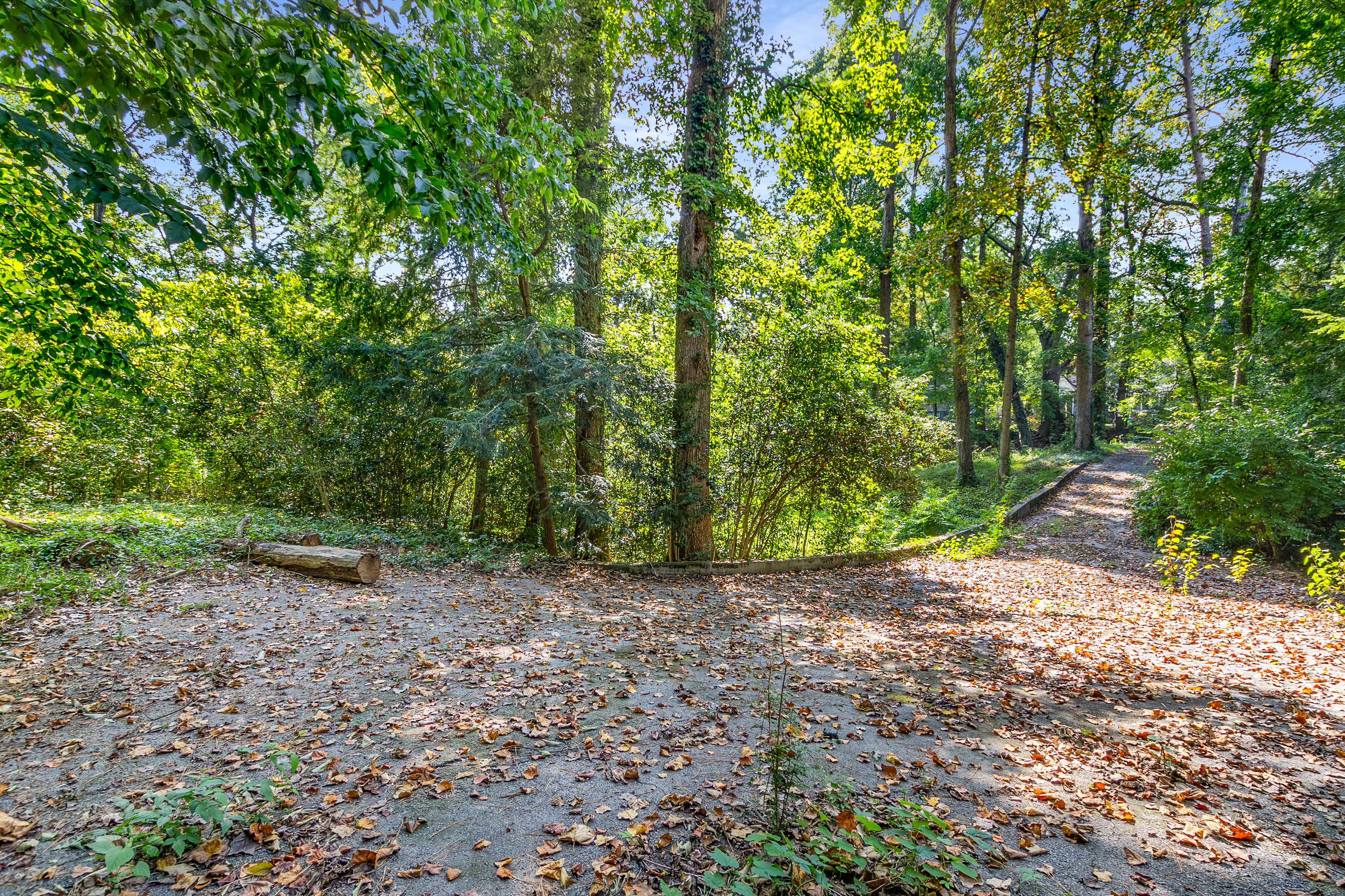  Three Contiguous Lots for New Construction in Historic Druid Hills - 物件實景