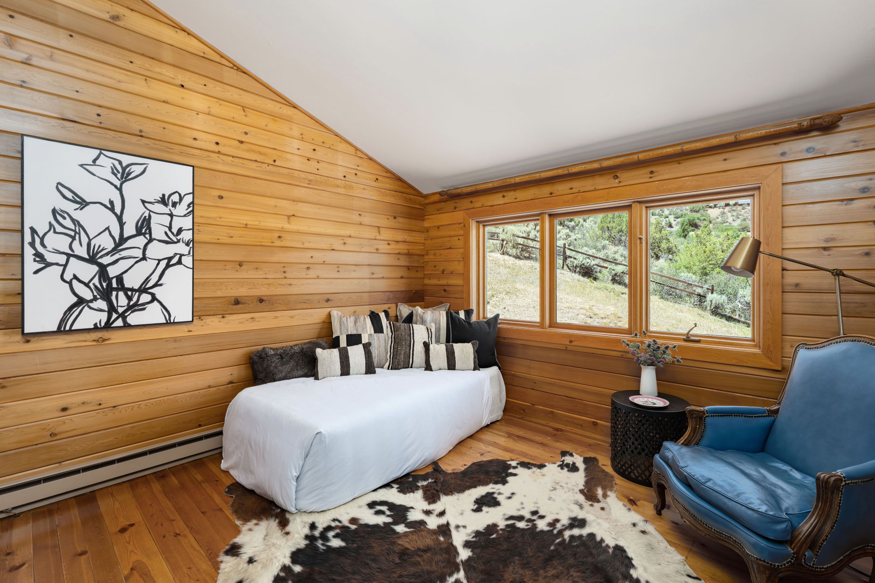  679 Brush Creek Road, Aspen, CO 81611 - 物件實景