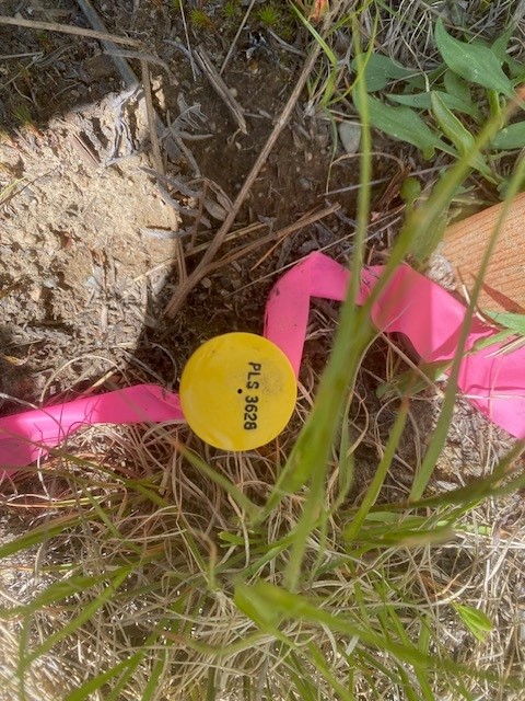 Priest River, Idaho, 83856, United States, ,Land,For Sale,2006127