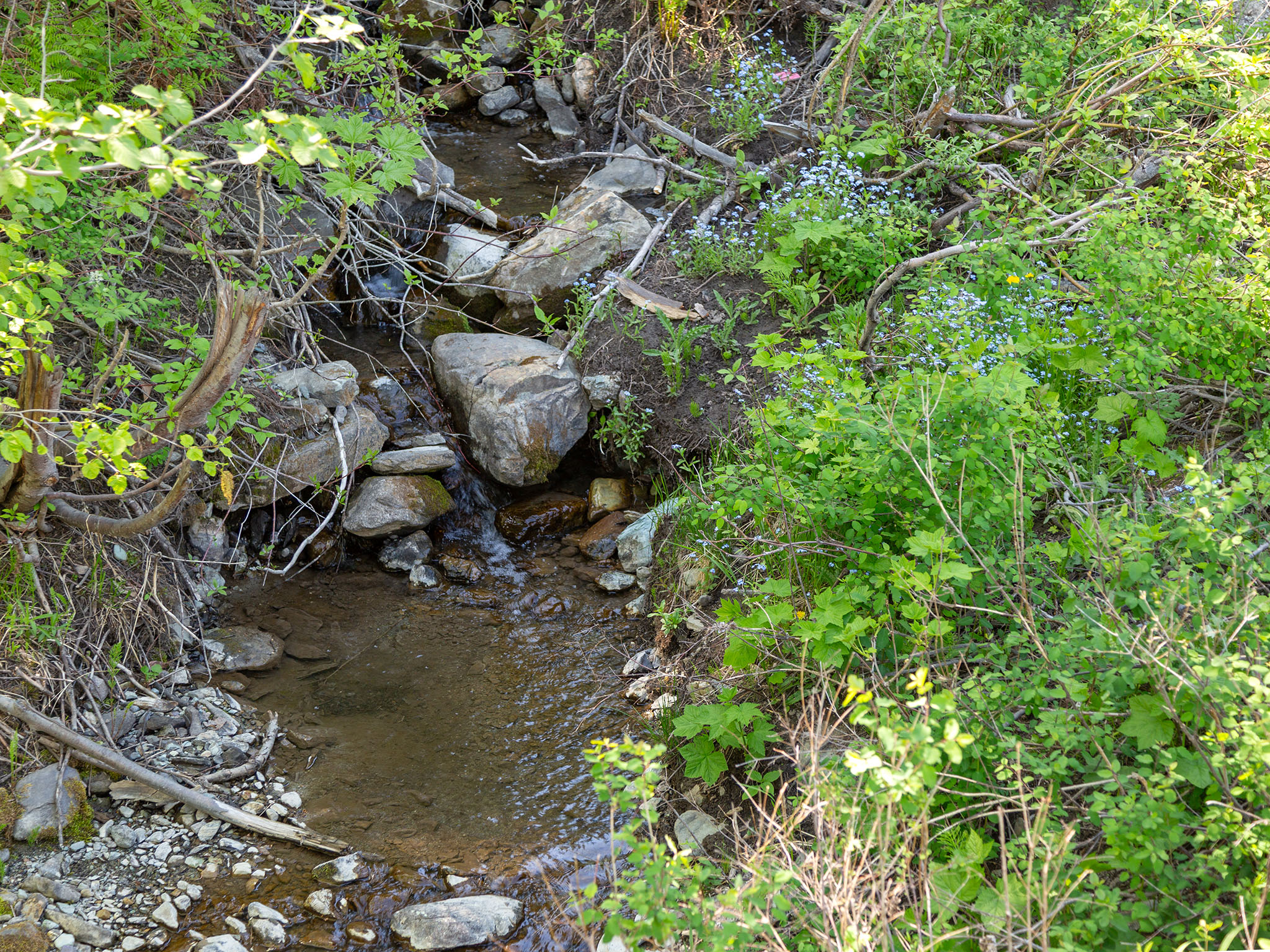  398 Moose Run Drive, Whitefish - 物件實景