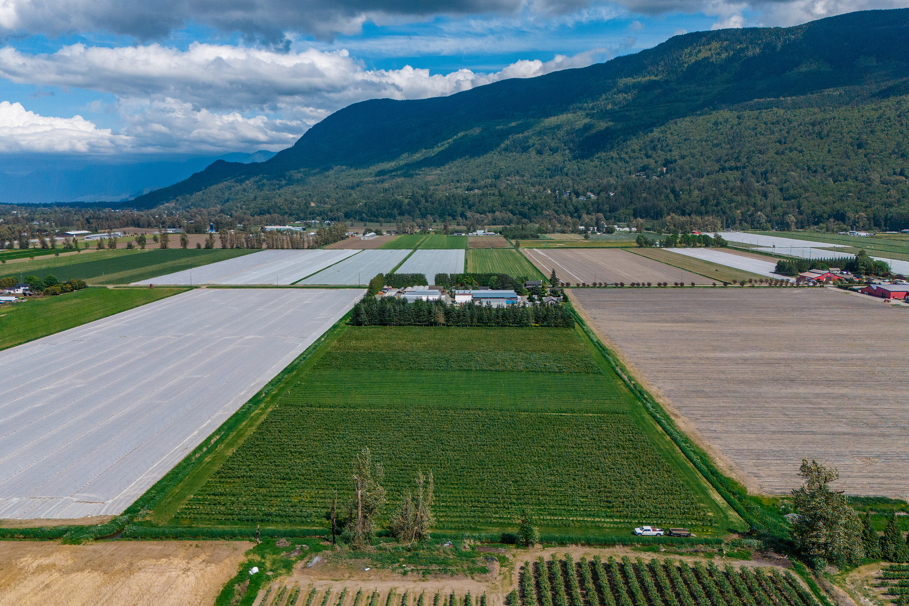  Event Venue/Winery/Distillery - 物件實景