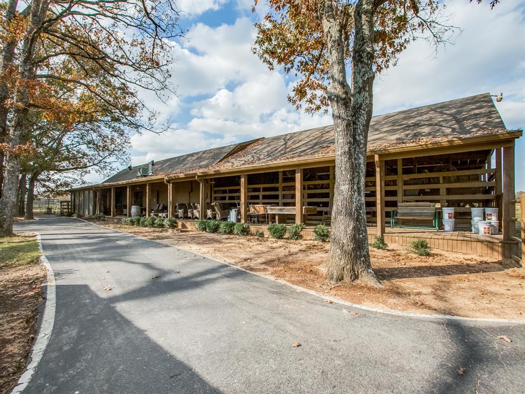 1370 Vzcr 4907, Ben Wheeler, Texas, 75754, United States, 11 Bedrooms Bedrooms, ,14 BathroomsBathrooms,Land,For Sale,1370 Vzcr 4907,1663895