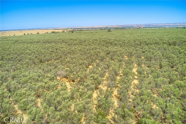 Oroville, California, 95965, United States, 2 Bedrooms Bedrooms, ,2 BathroomsBathrooms,Residential,For Sale,1978871