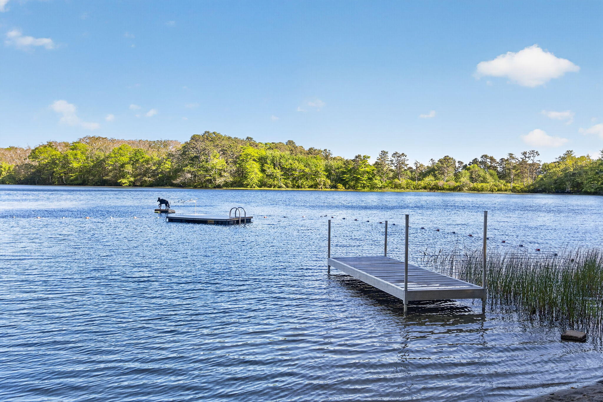 7 Valley Road, Brewster, MA, 02631 - 物件實景