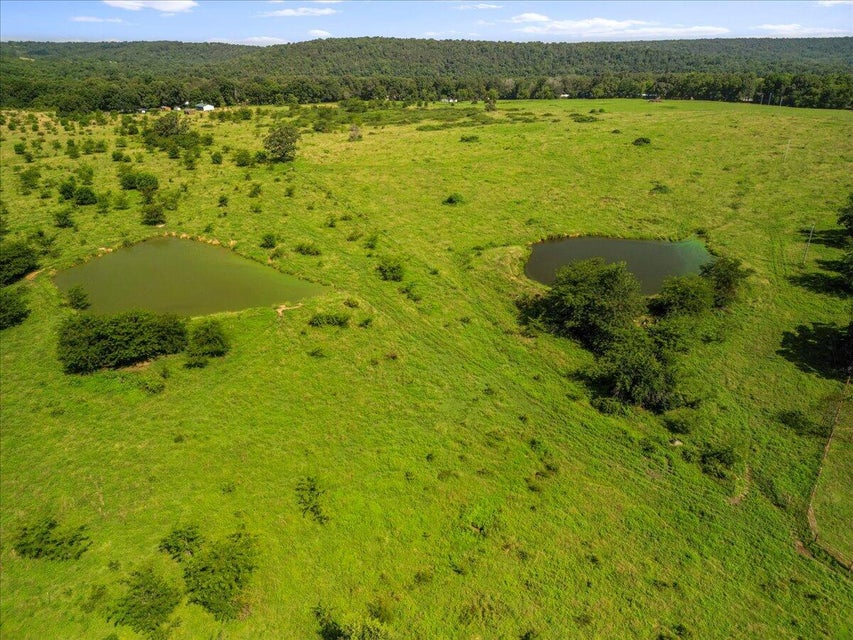 Udall, Missouri, 65766, United States, ,Land,For Sale,1984172