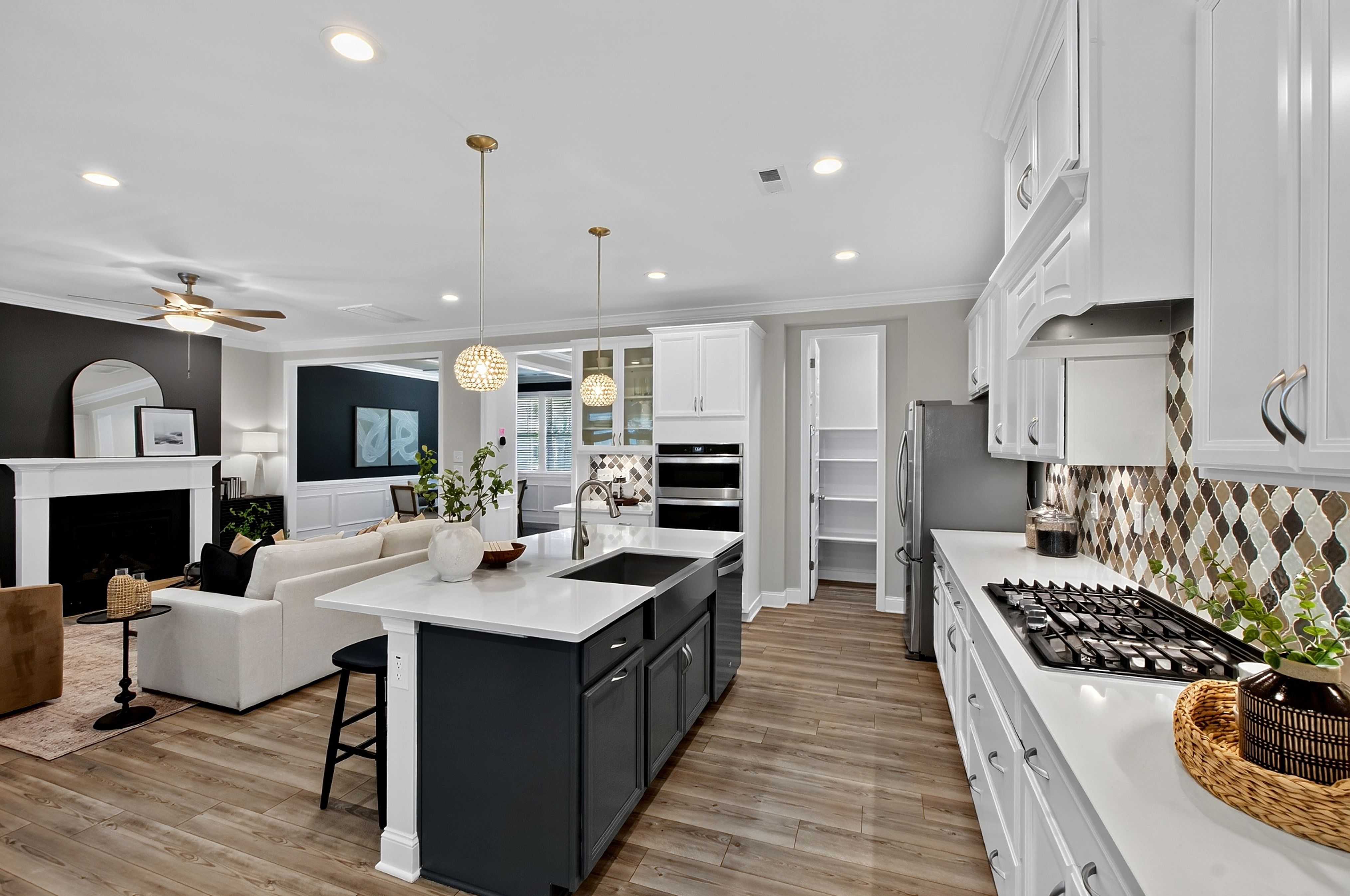  1300 Commons Ford Place, Apex, NC 27539 - 物件實景