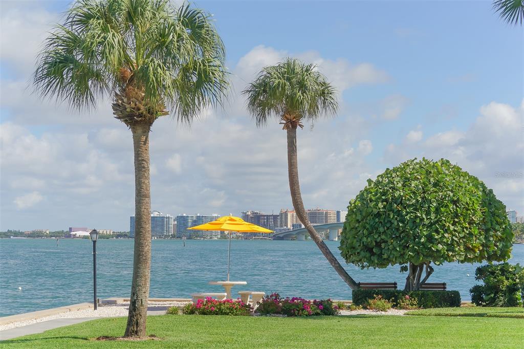 771 John Ringling Boulevard Unit 22FAIR, Sarasota, Florida, 34236, United States, 2 Bedrooms Bedrooms, ,2 BathroomsBathrooms,Residential,For Sale,771 John Ringling Boulevard Unit 22FAIR,1626949