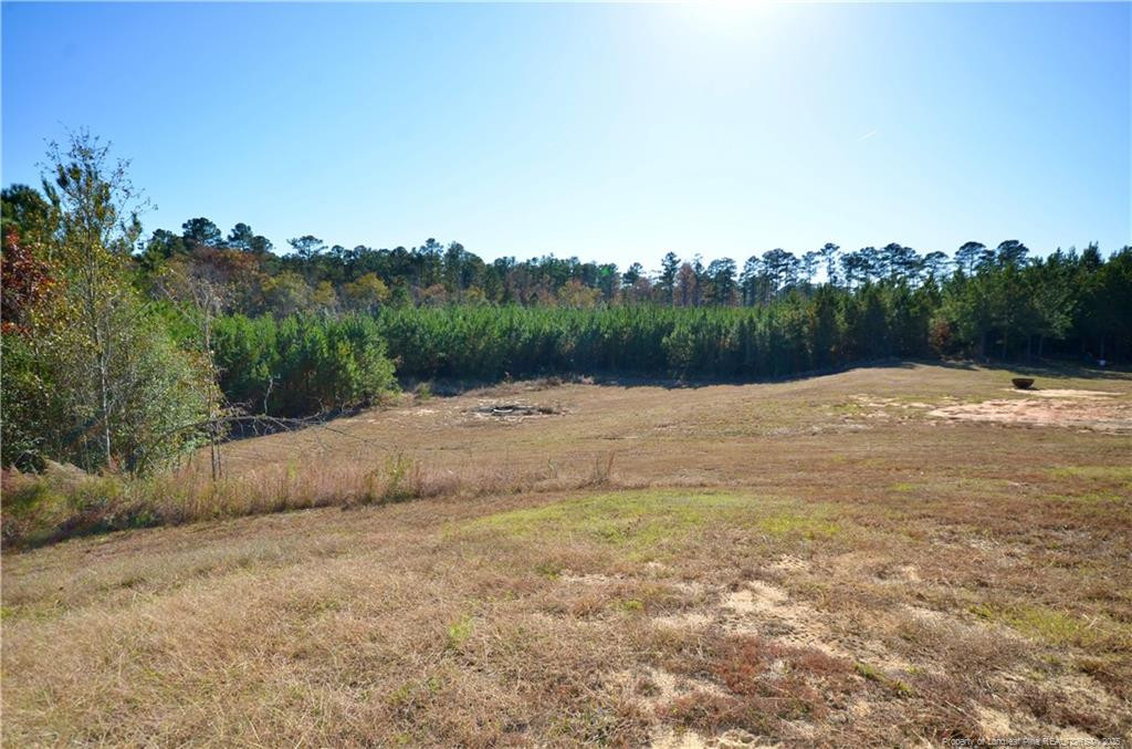 Spring Hope, North Carolina, 28390, United States, 5 Bedrooms Bedrooms, ,4 BathroomsBathrooms,Residential,For Sale,1993285