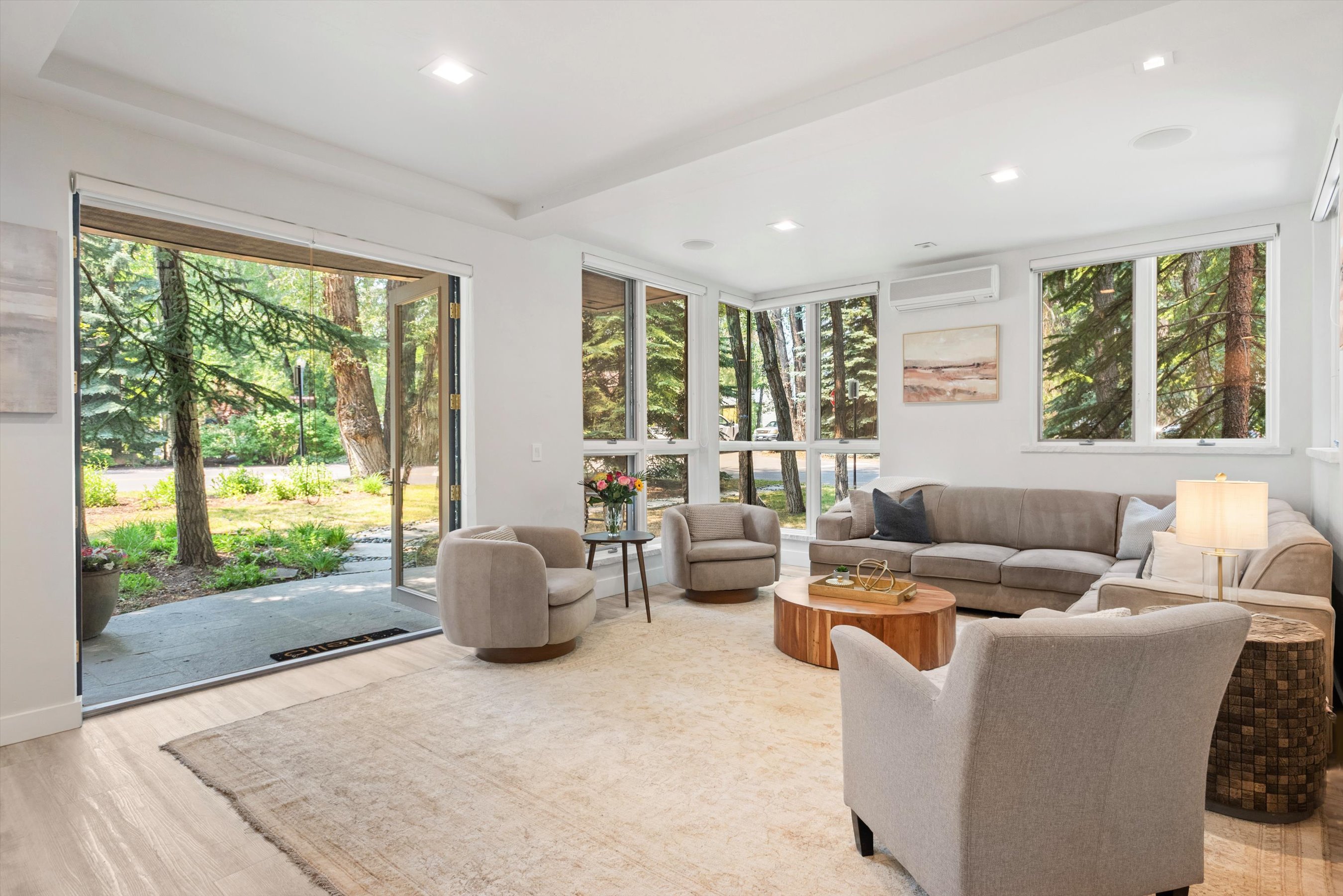  736 W Smuggler Street, Aspen, CO, 81611 - 物件實景