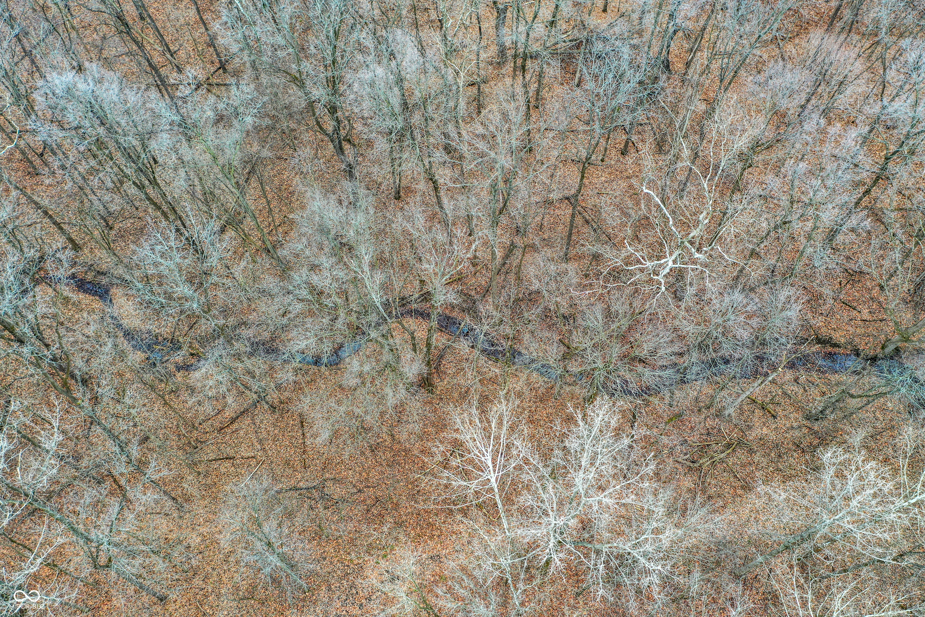 Arcadia, Indiana, 46030, United States, ,Residential,For Sale,2009642