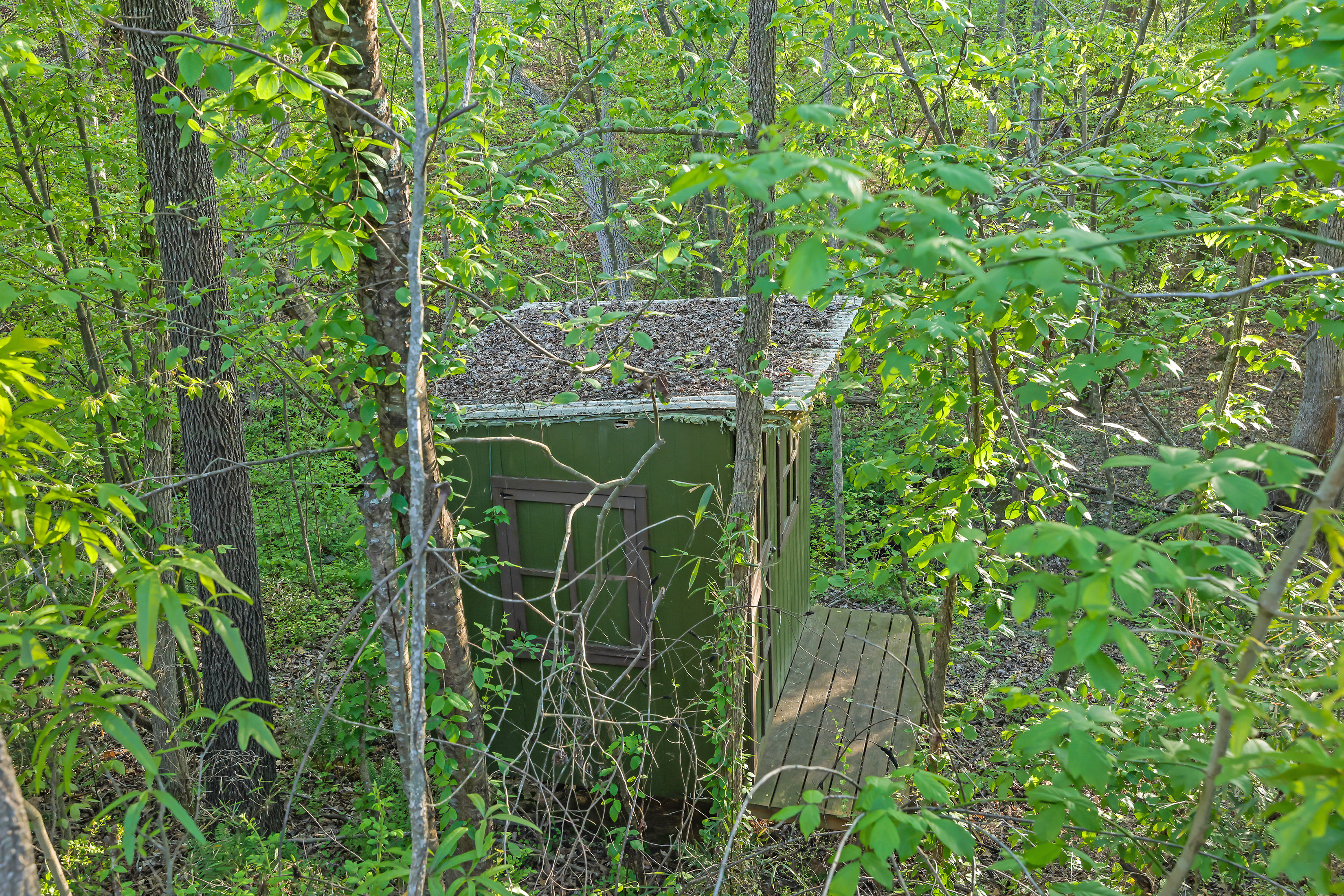  Classic Beauty in Amenity-rich Parkstone Community - 物件實景