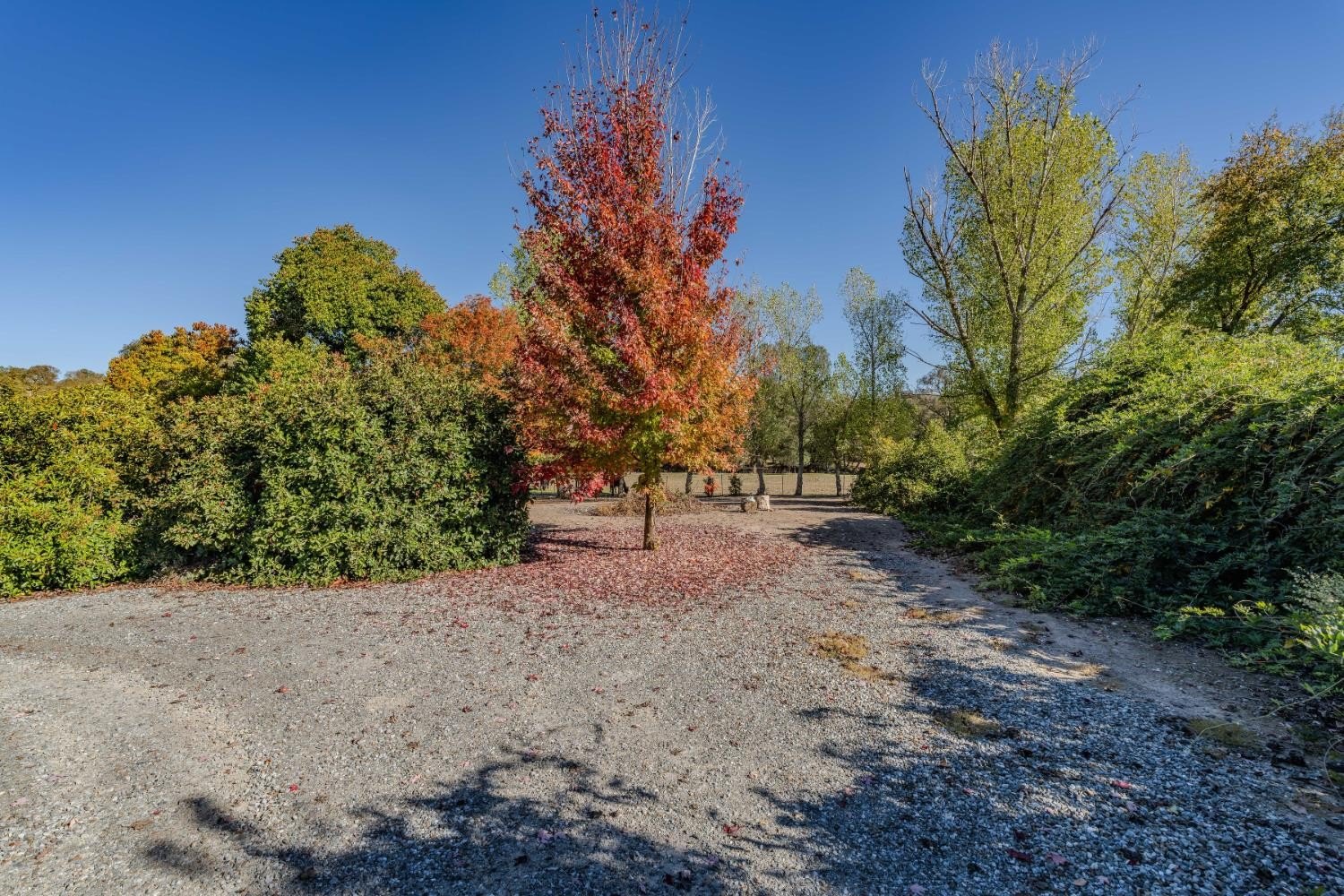 Valley Springs, California, 95252, United States, 3 Bedrooms Bedrooms, ,2 BathroomsBathrooms,Residential,For Sale,1981234