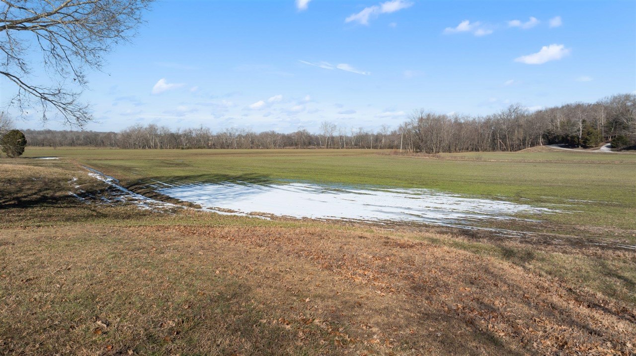 Lewisburg, Kentucky, 42256, United States, ,Land,For Sale,1688645