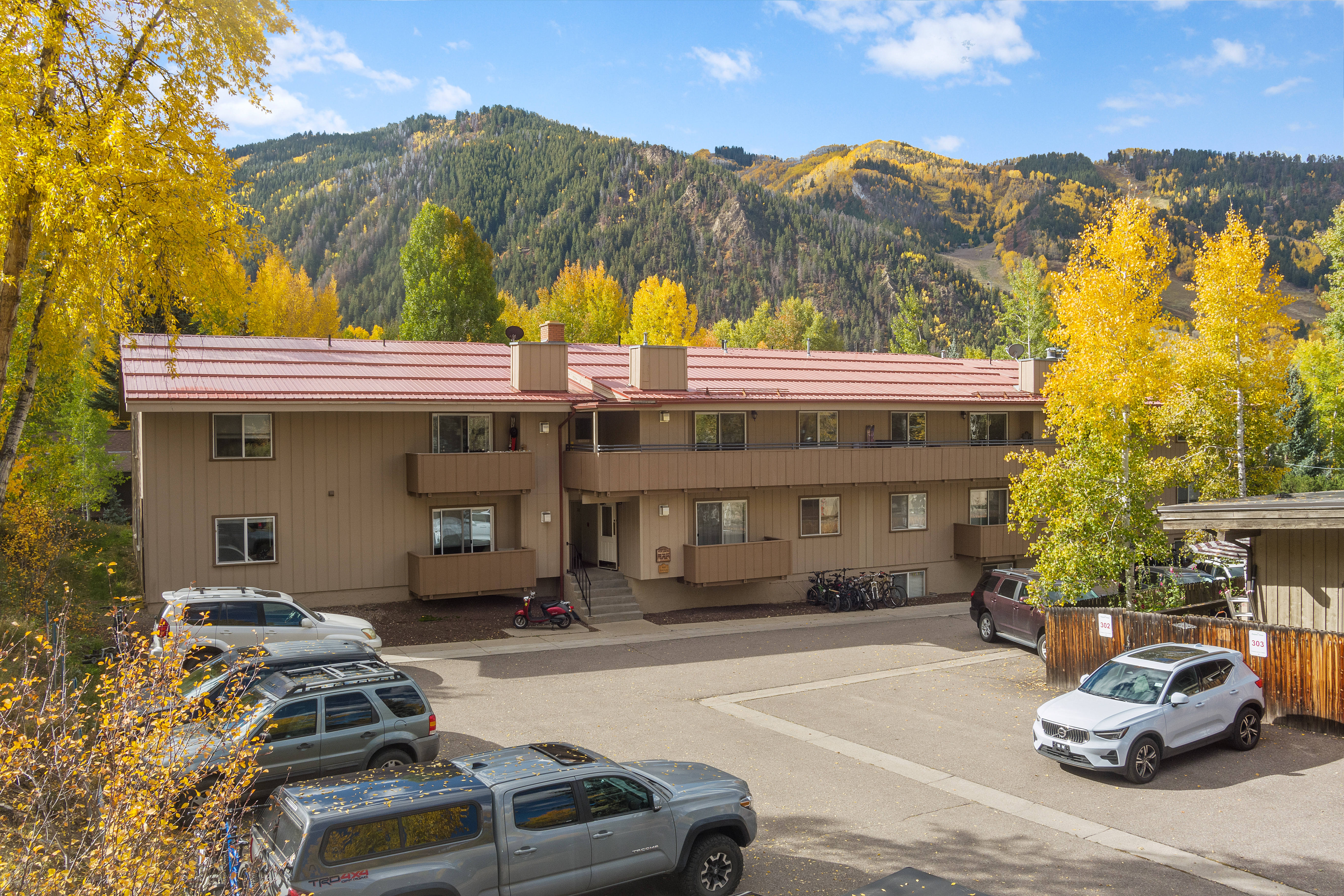  326 Midland Avenue 306, Aspen, CO, 81611 - 物件實景