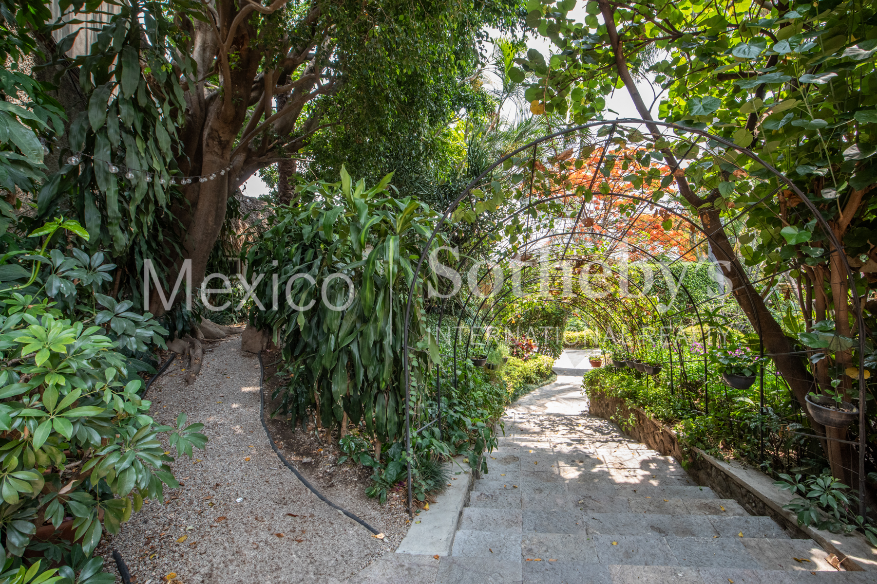  Casa Vergel Cuernavaca - 物件實景