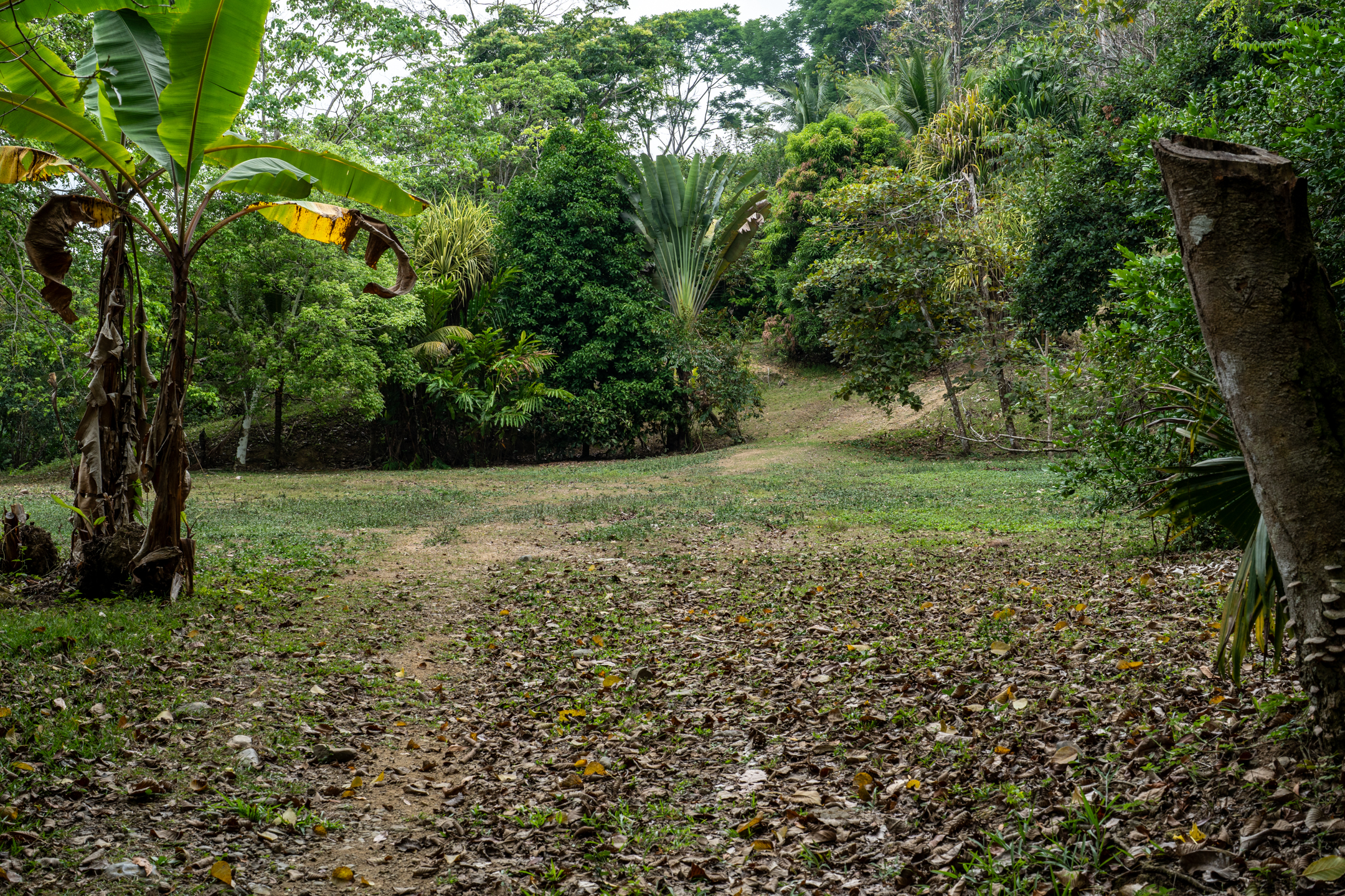 Lagunas, Dominical, Puntarenas, CR, 2 Bedrooms Bedrooms, ,1 BathroomBathrooms,Land,For Sale,Lagunas,1589118